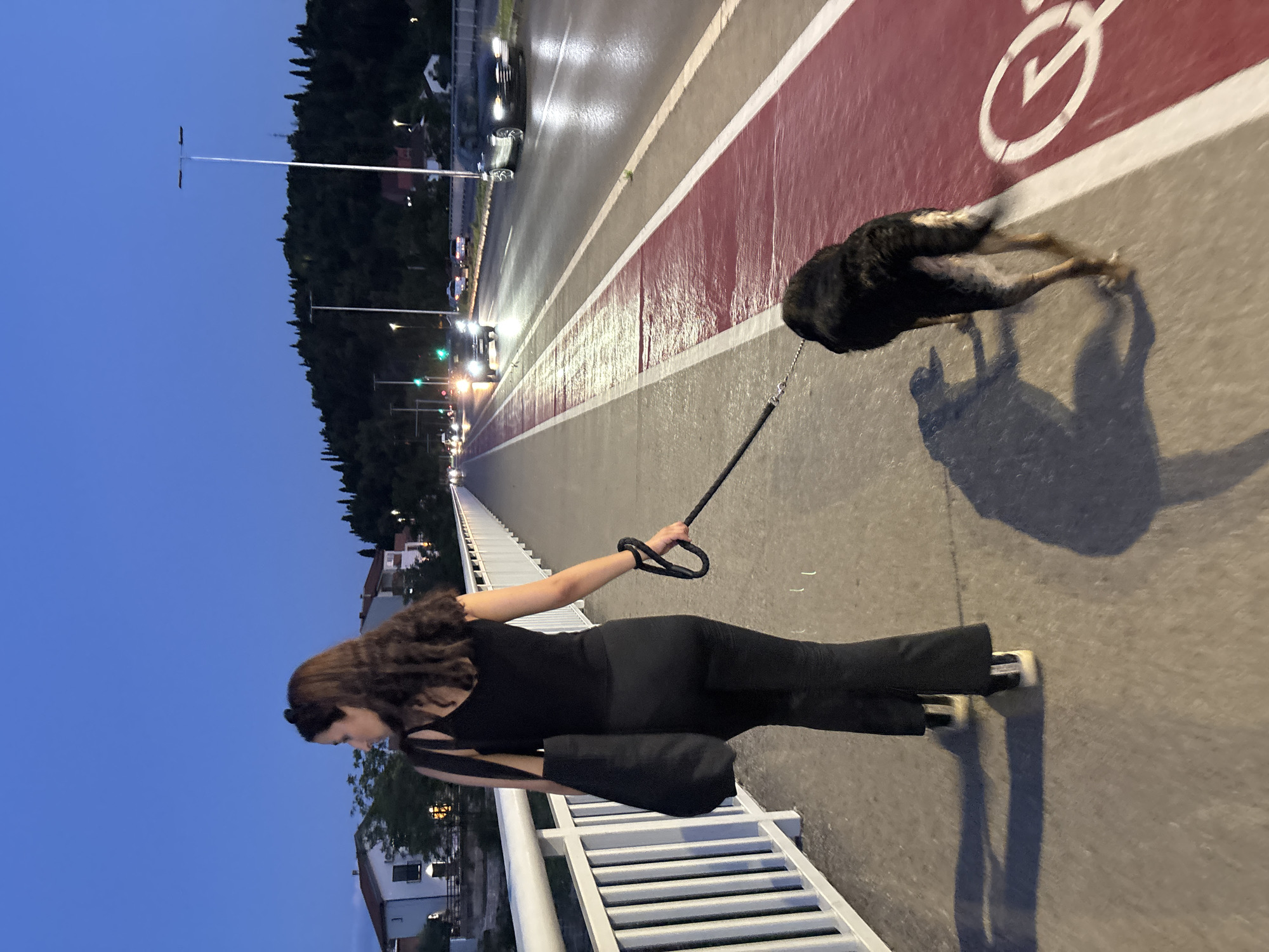 Evening walk with a dog along the Morača River, Podgorica
