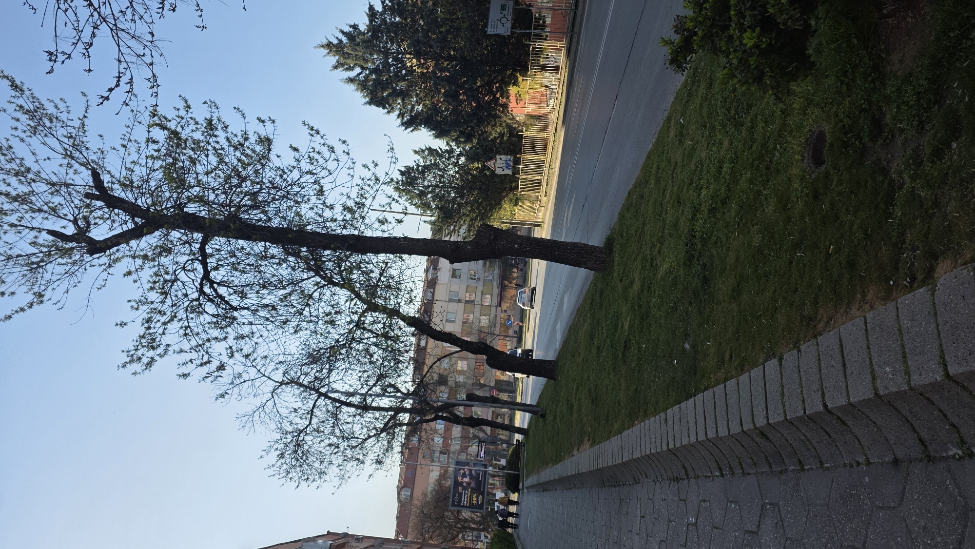 Morning street scenes documented across Blagoevgrad, Bulgaria