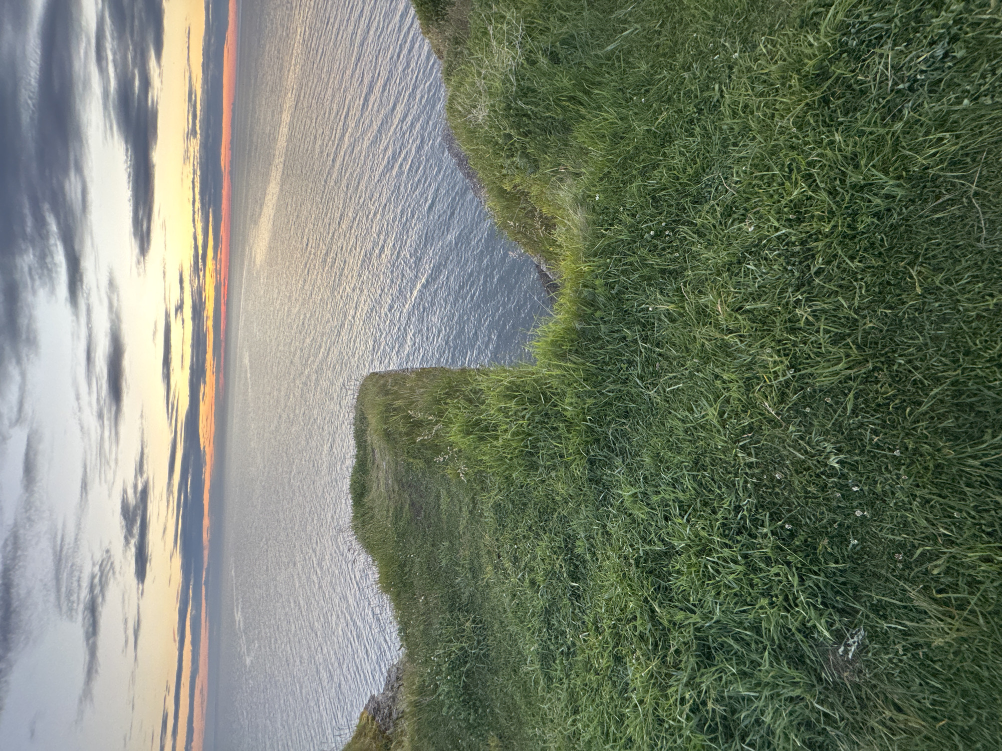 Estonian coastal clifftops and lighthouse at golden hour
