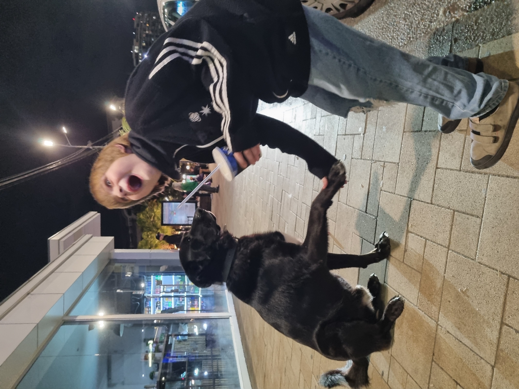 Young person plays with large dog on Sochi sidewalk