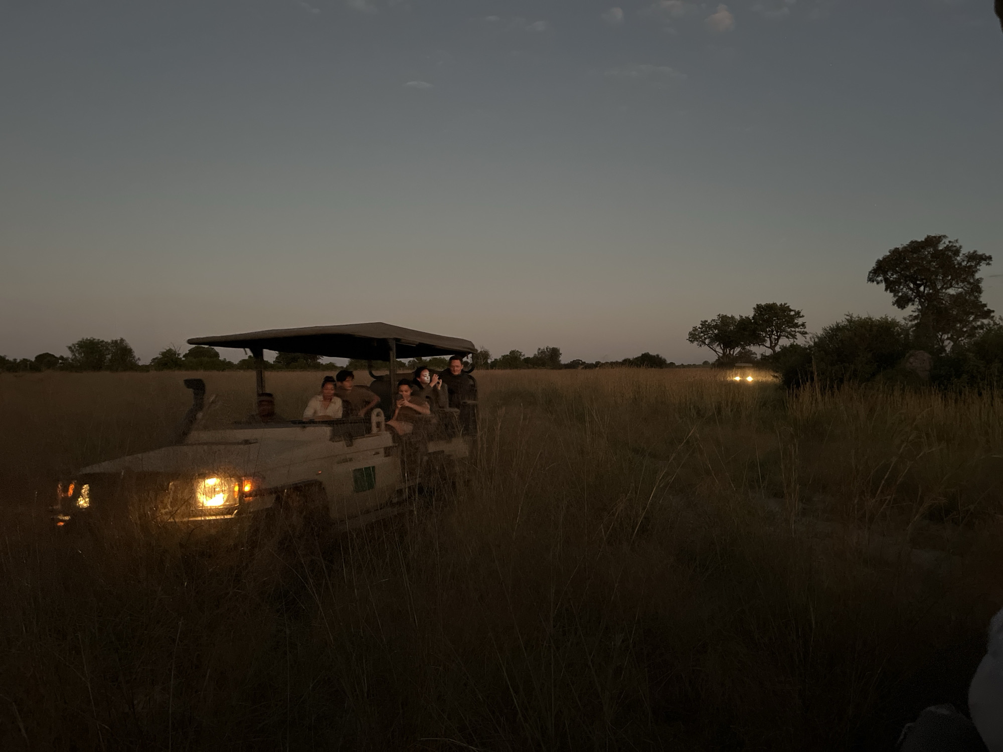 Safari vehicles spotted at twilight in Botswana grasslands