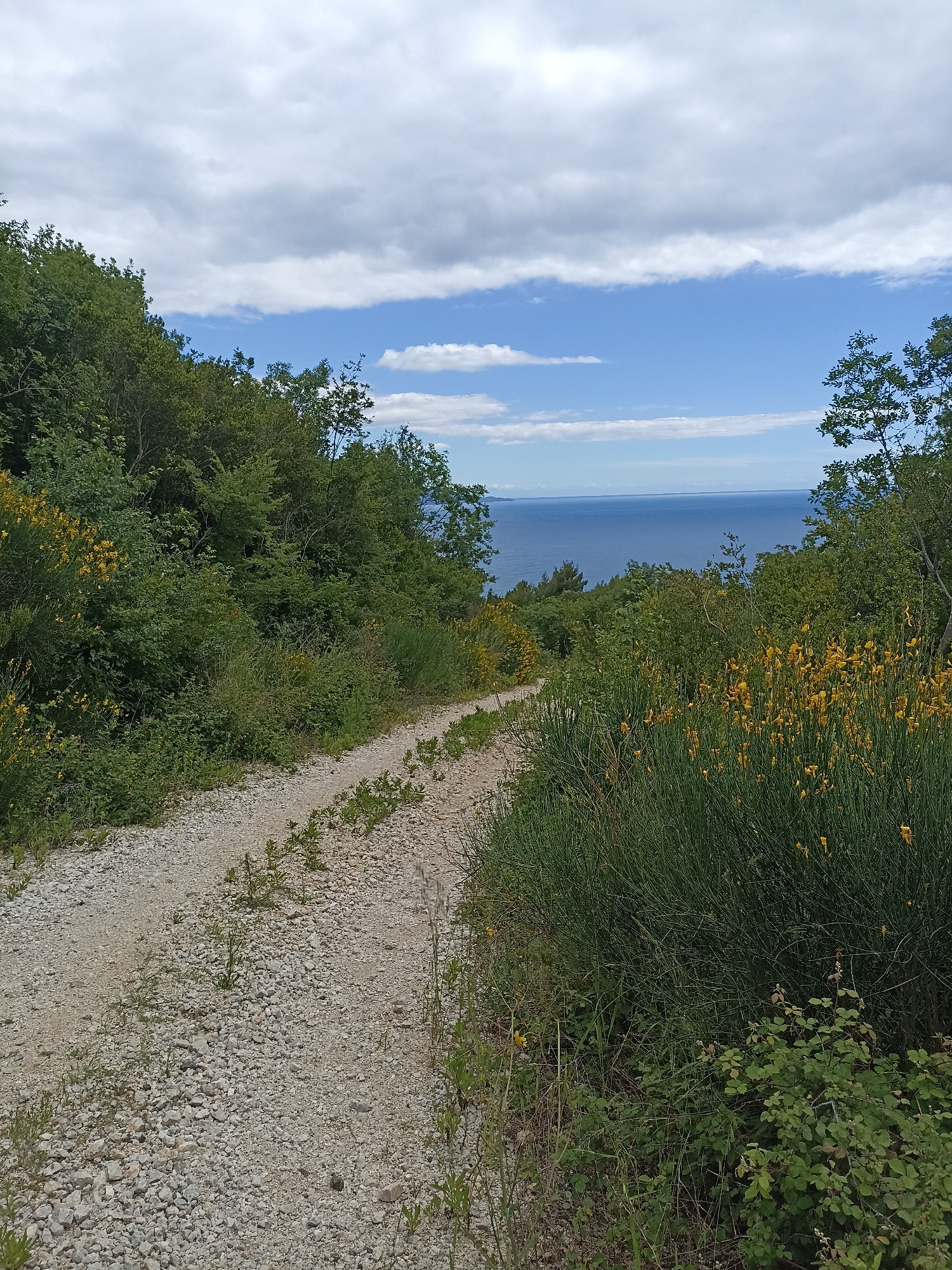 Rural path documented in Zagrađe, Montenegro with sea views