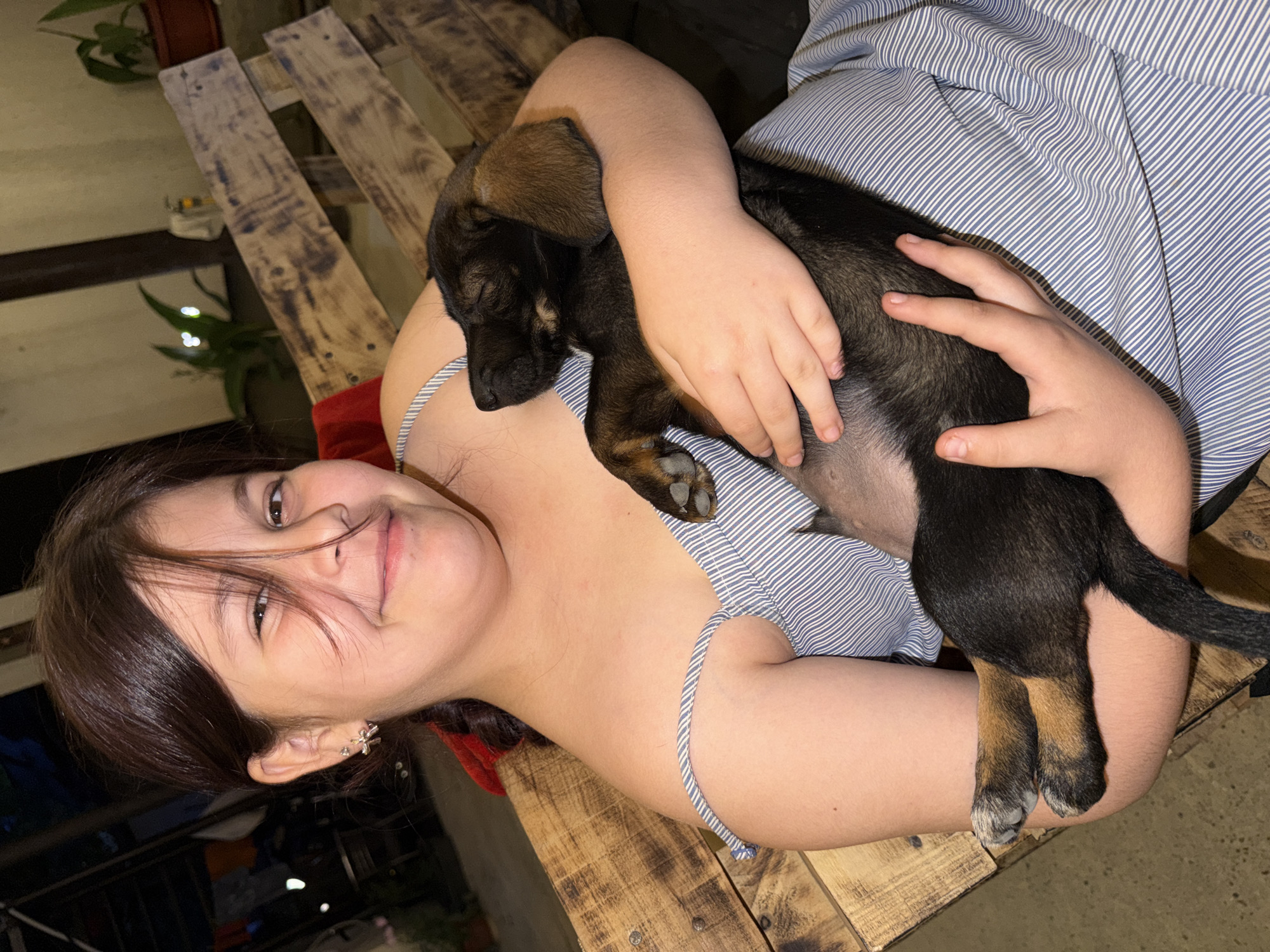 Lazy afternoon at home with puppies and family in Tuapse