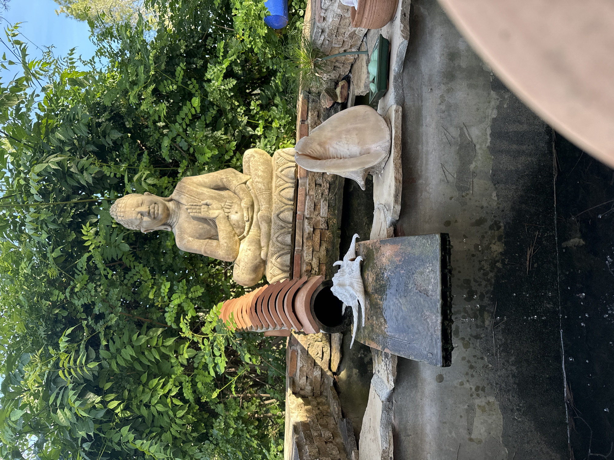 Peaceful garden scenes and casual moments documented in Altea
