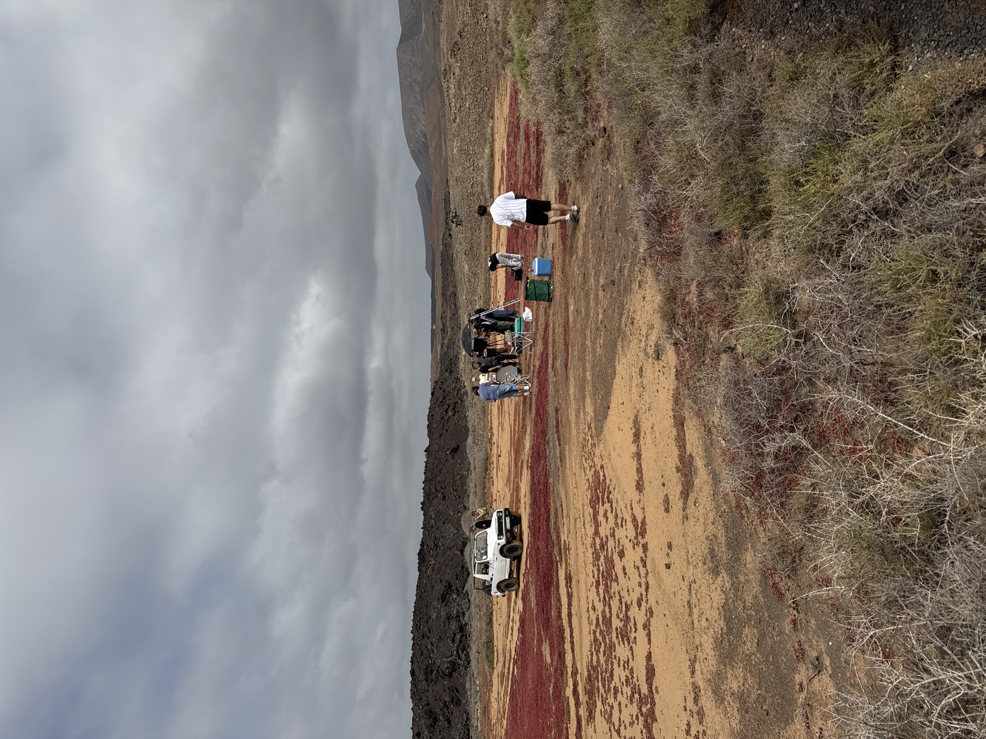 Group gathers by white vehicle in arid Tinajo landscape
