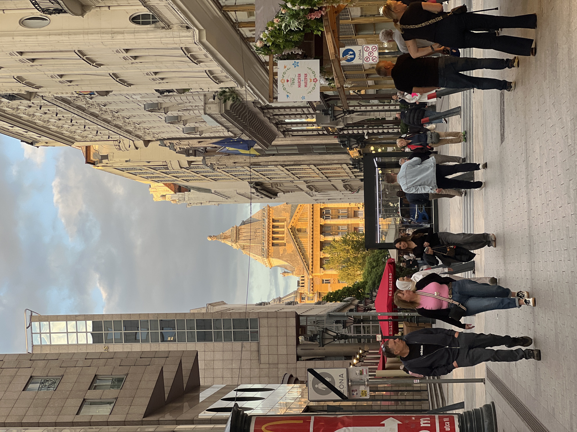 Budapest street life and cat merchandise observed Tuesday evening