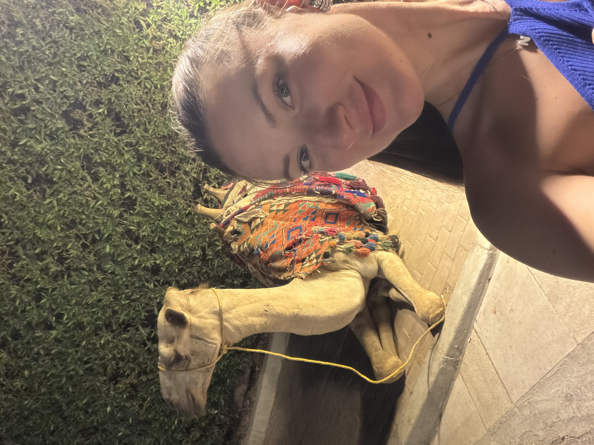 Evening out in Sharm El Sheikh: camels, playground, selfies