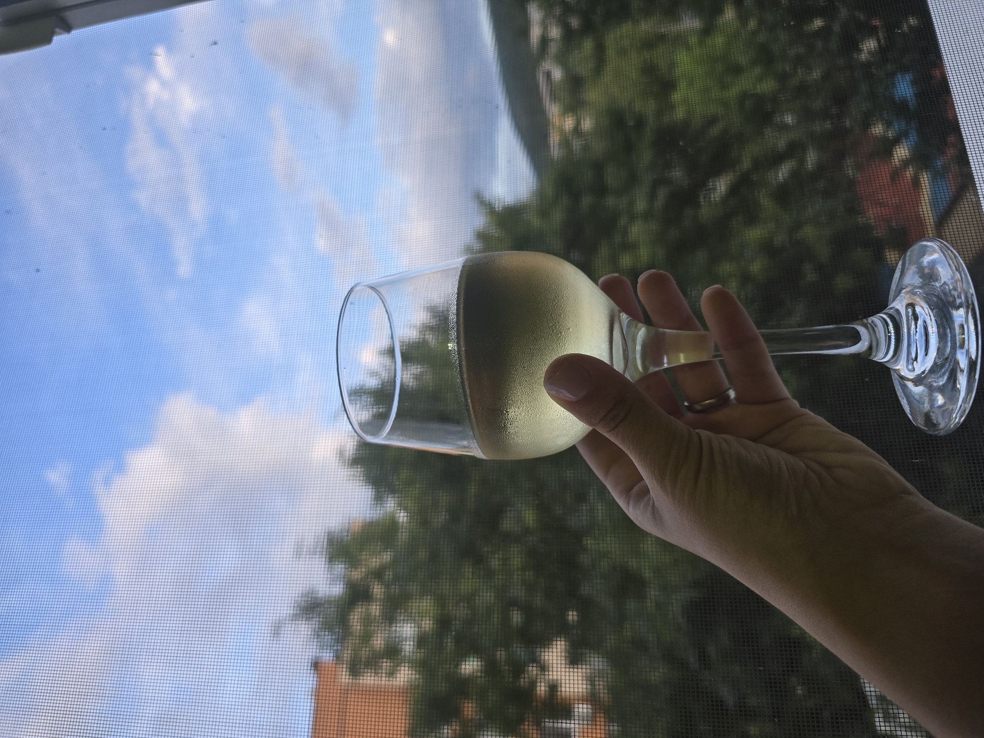 White wine by the window on a sunny afternoon