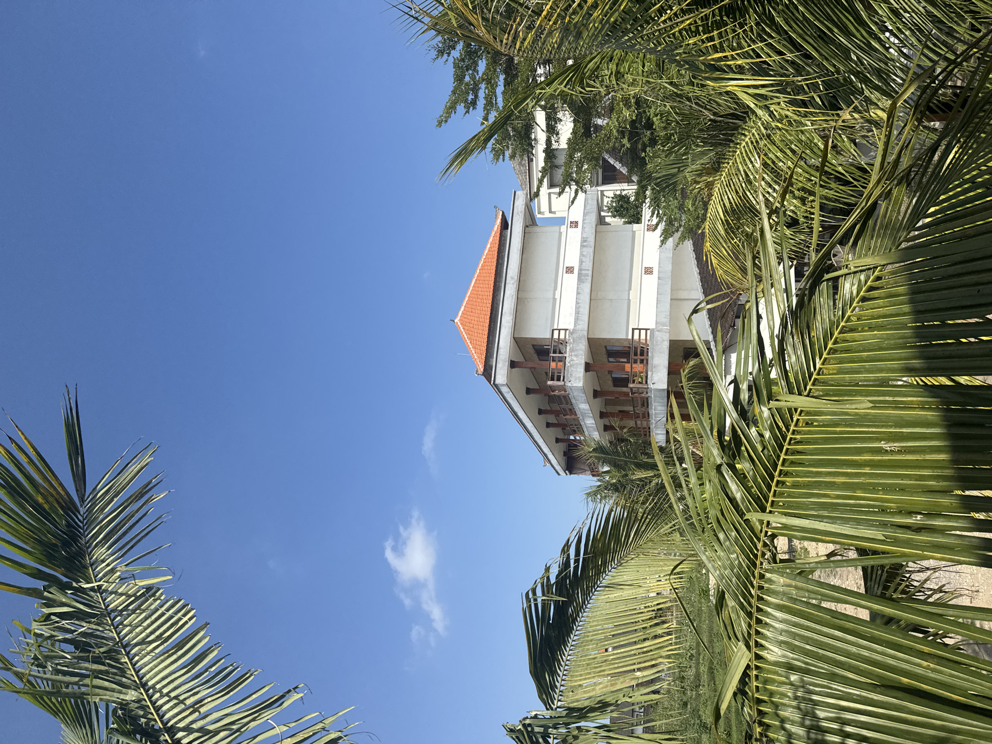 Morning around a Bali resort, rice paddies, and local streets