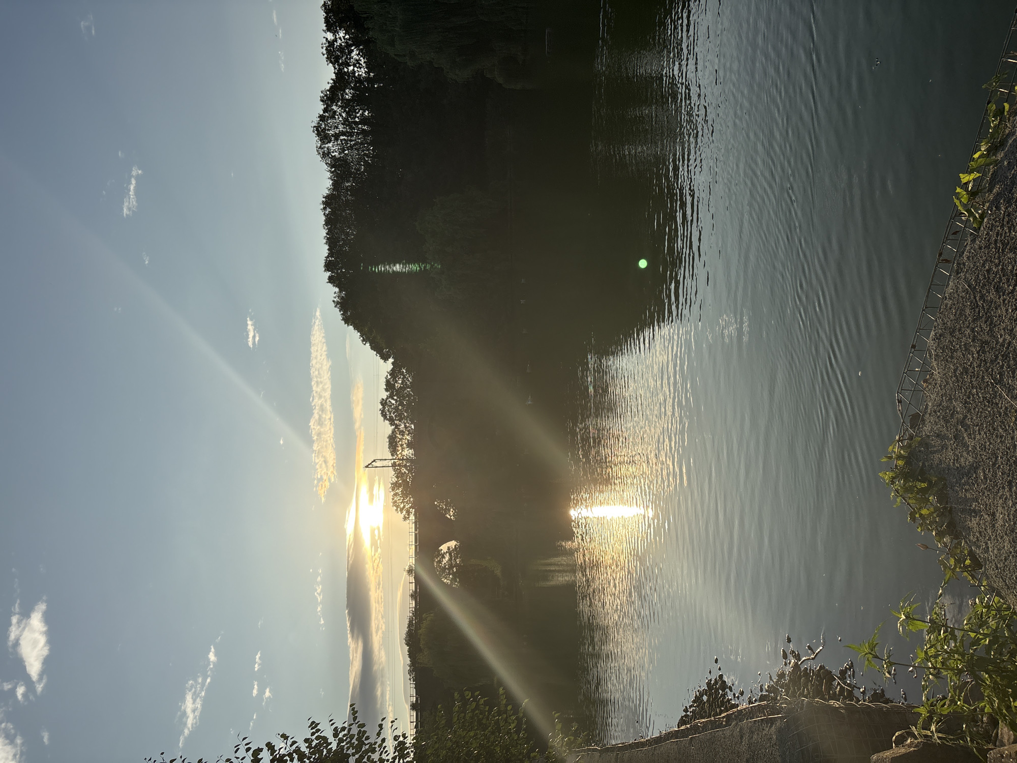 Chelmsford riverside and parks at golden hour