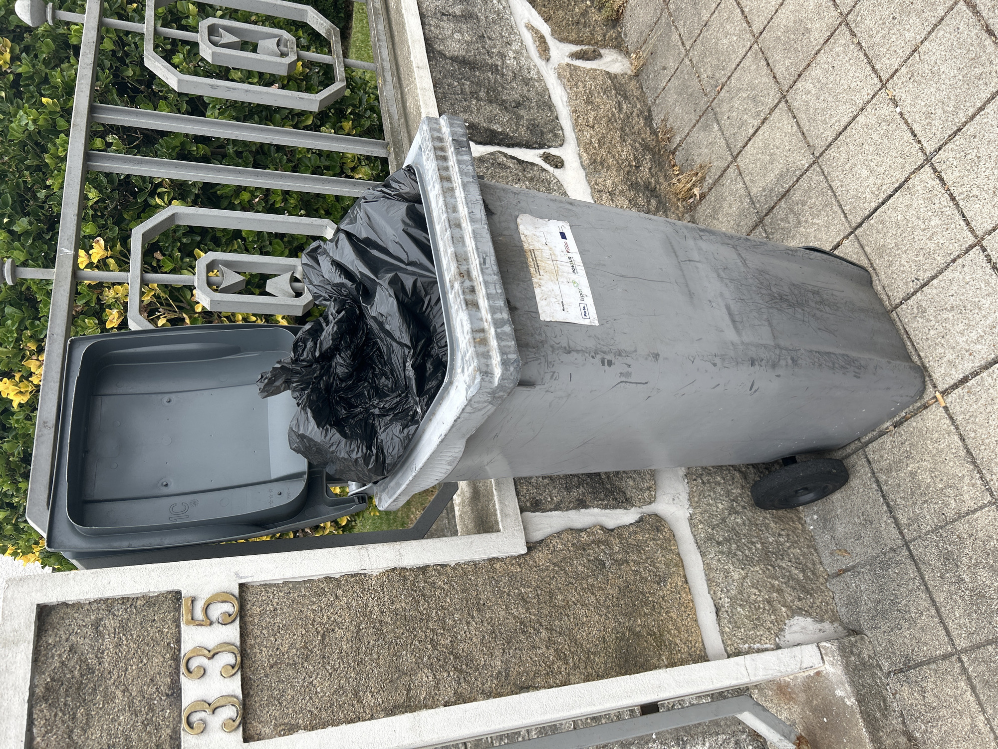 Bins and blooms: street-level details from a Porto neighbourhood