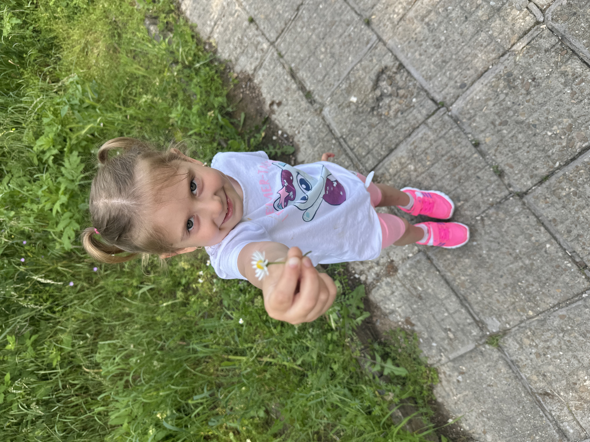 Child picks daisies during outdoor exploration in Tryavna, Bulgaria