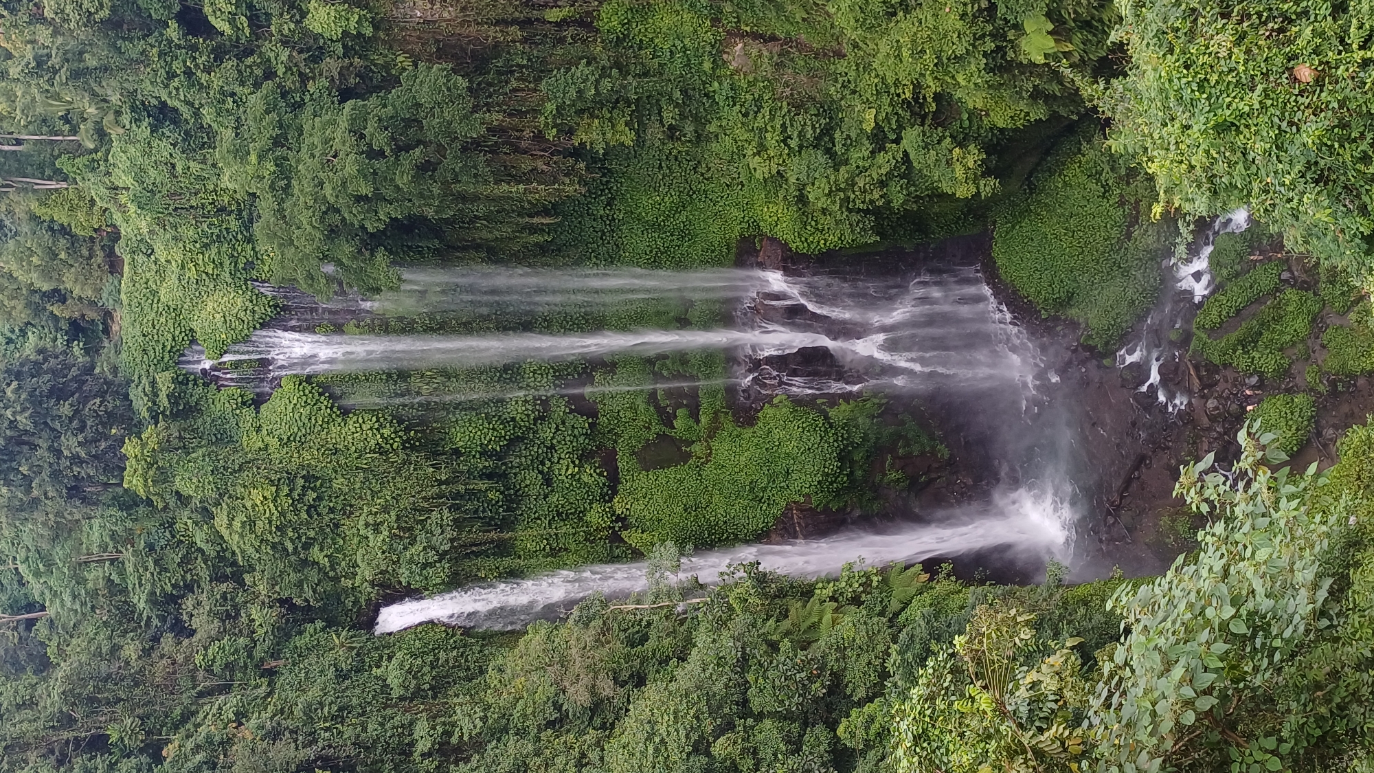 Visitors document early morning trip to Sekumpul Waterfall, Bali