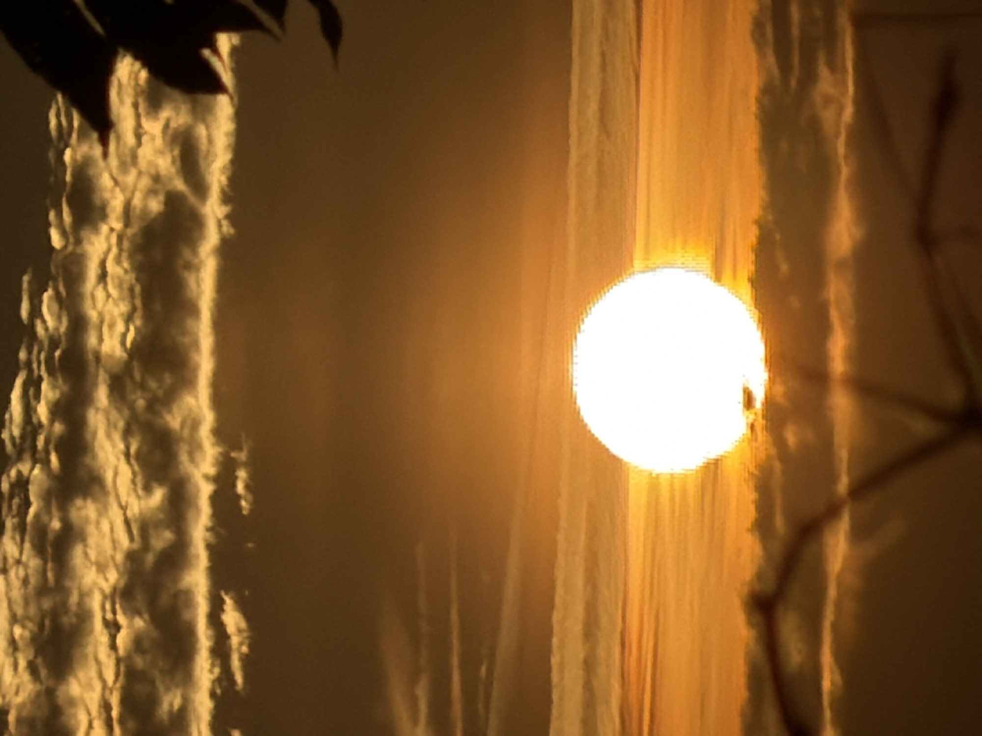 Sunset and ground-level nature scenes in Leudelange, Luxembourg