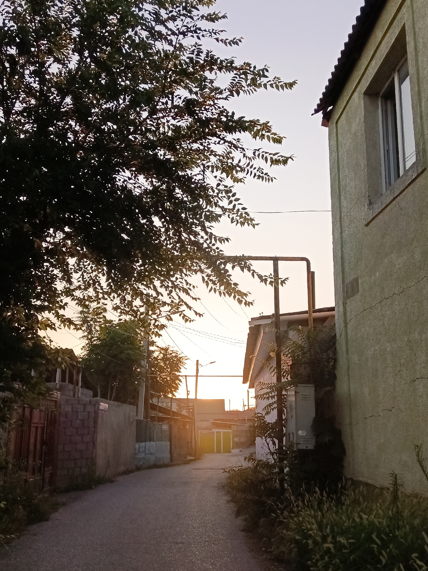 Everyday life in a Shymkent residential neighborhood at sunset