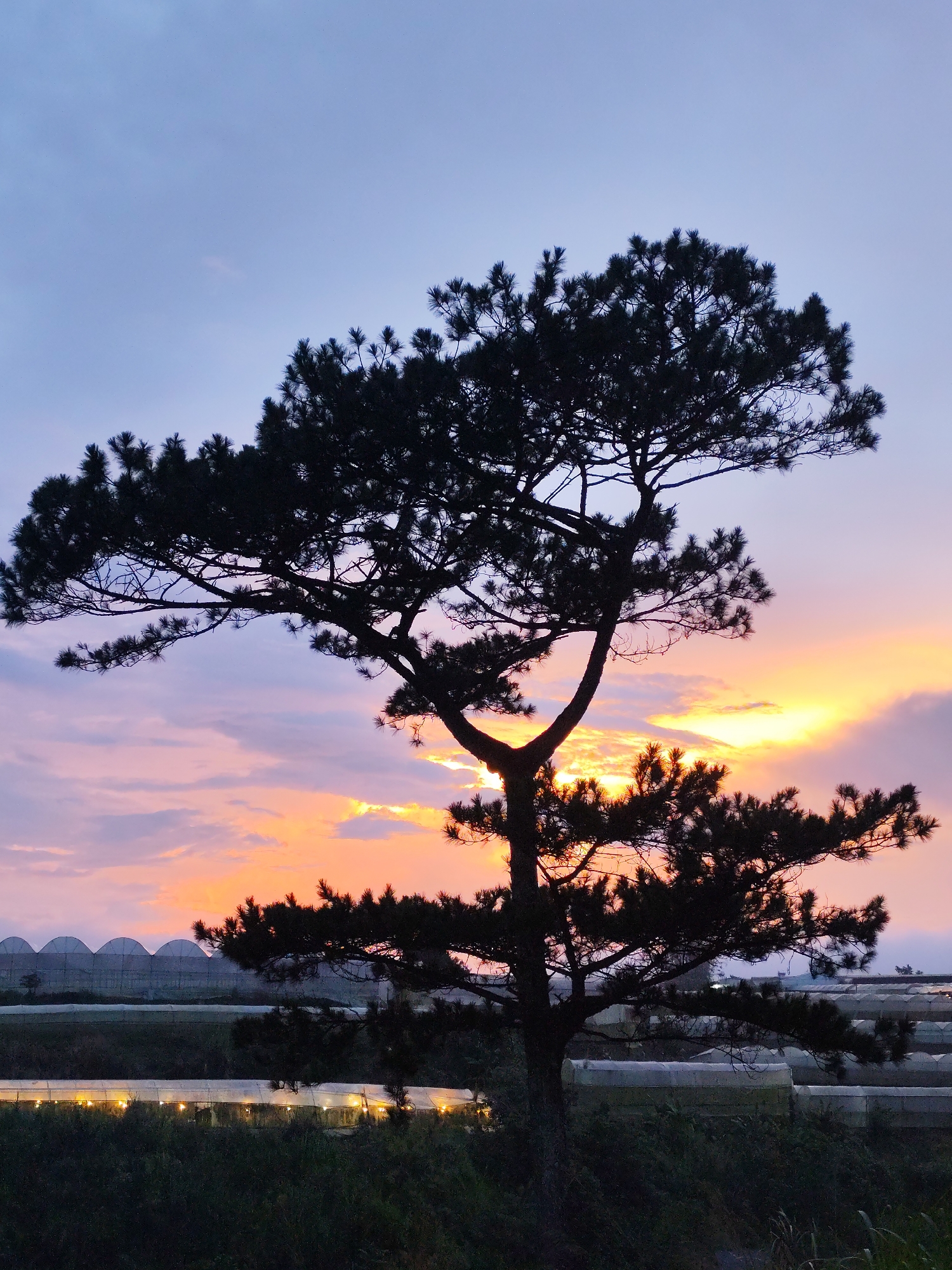 Sunset witnessed across Da Lat countryside and streets