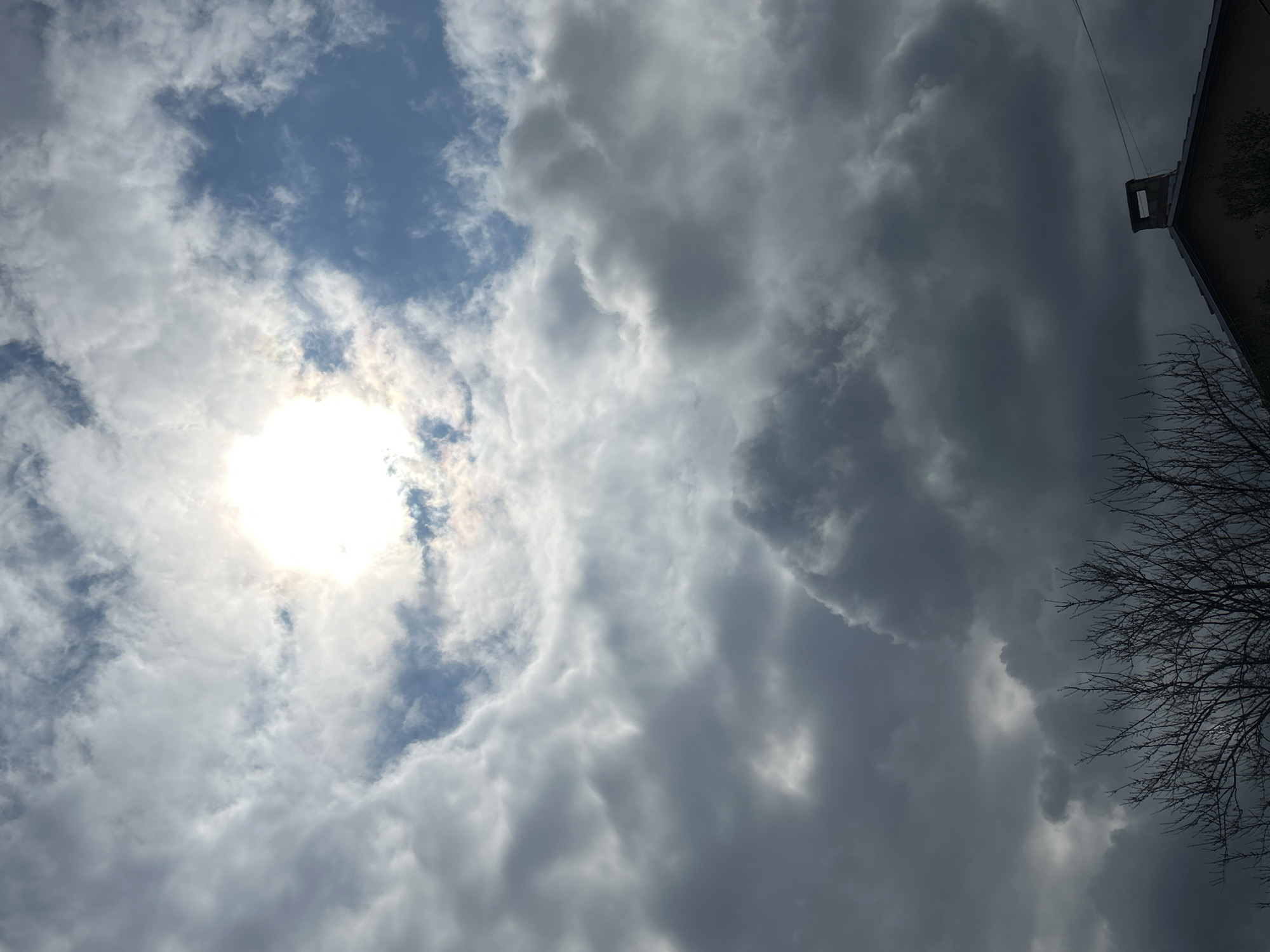Quiet midday moments documented in Tsarevo, Bulgaria