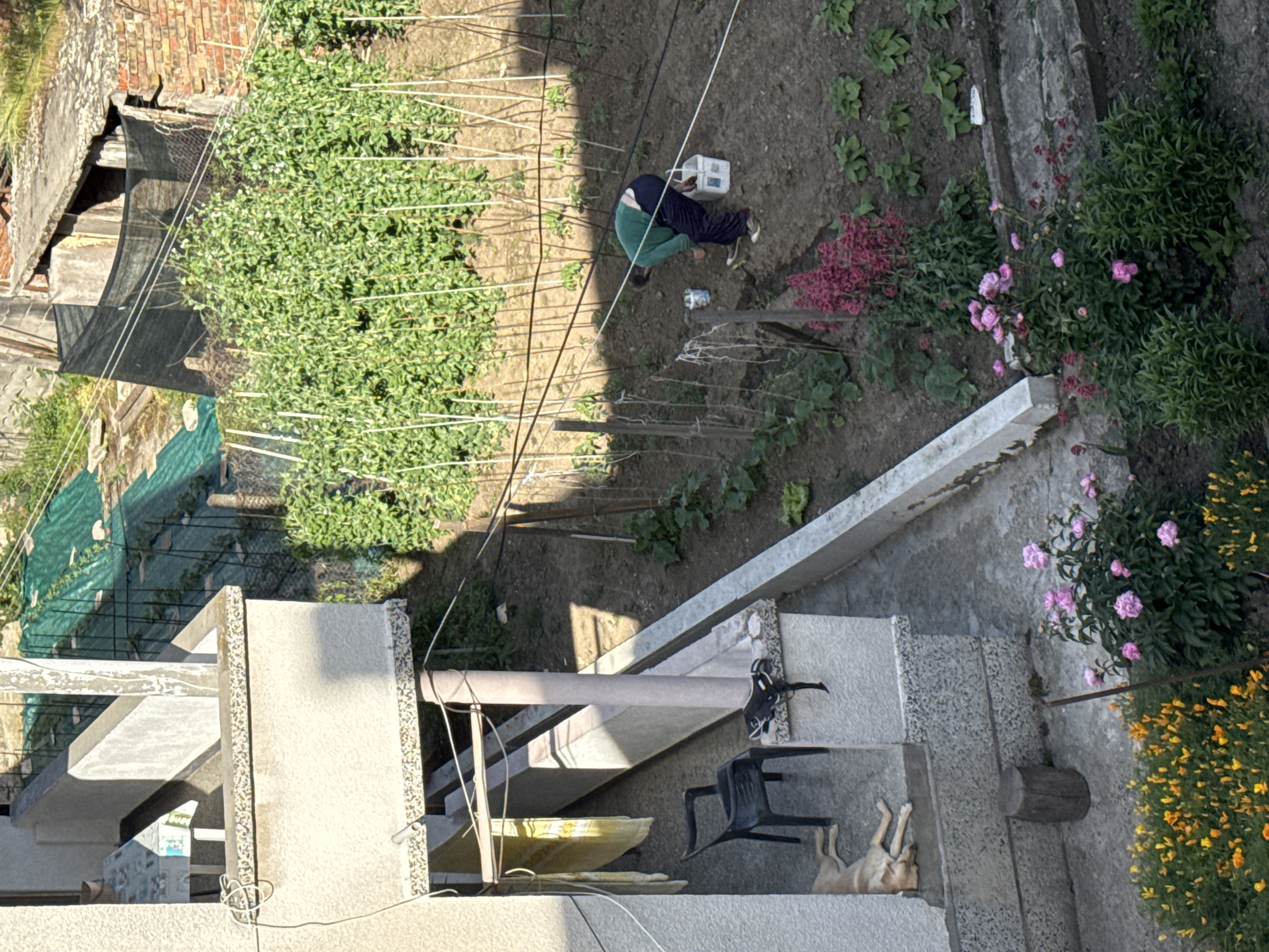 Everyday scenes observed from above in Tsarevo, Bulgaria