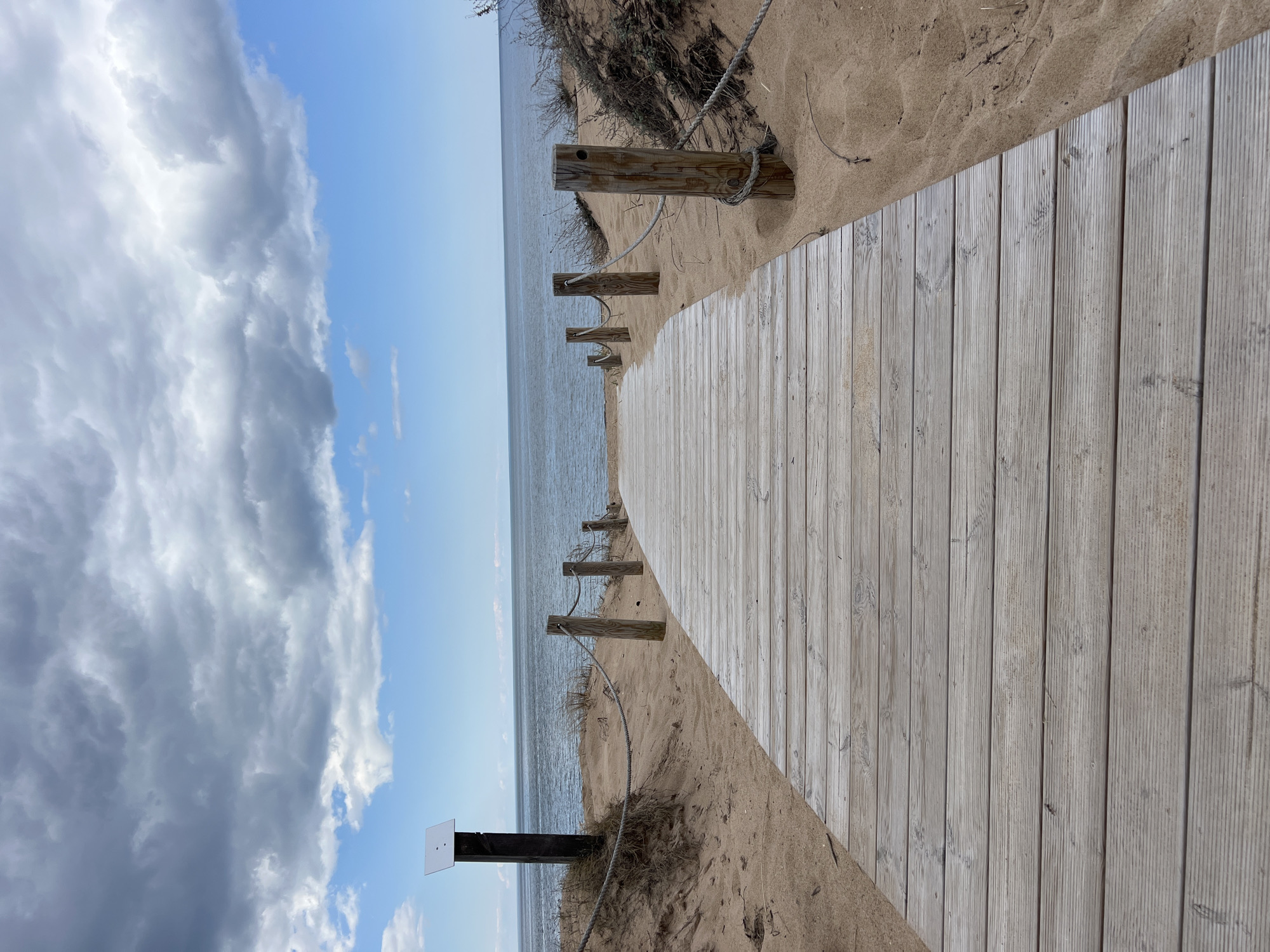 Spring walk documented along Saulkrasti boardwalk and pine forest