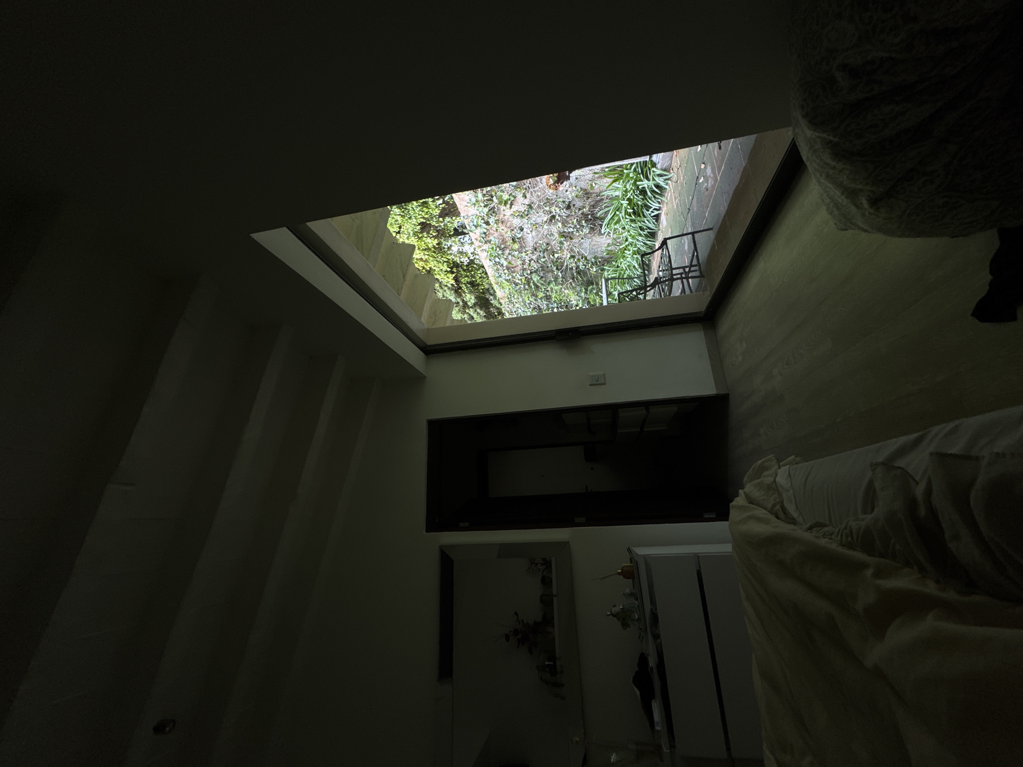 Mexico City resident captures upward skylight view of private garden