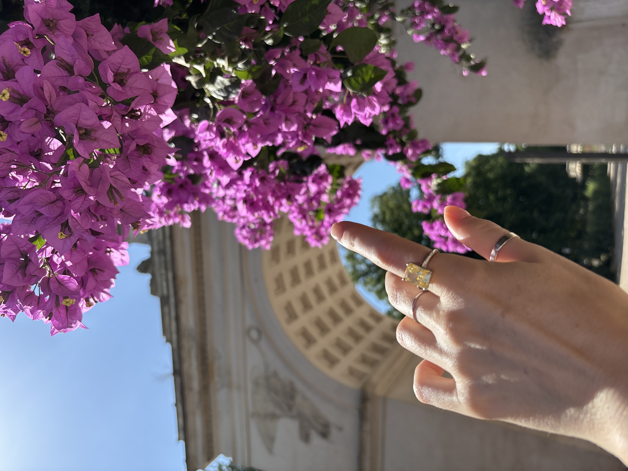 Afternoon at Borghese Gardens: lake, temple, and bougainvillea