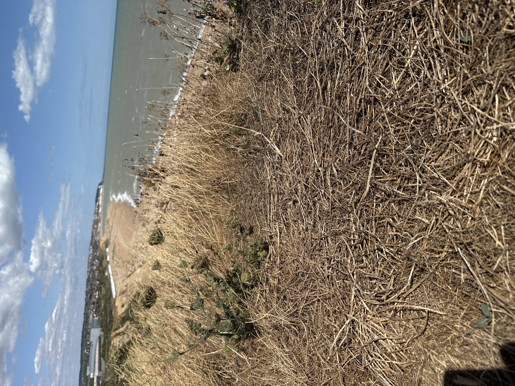 East Sussex pebble beach and Channel coastline on a summer afternoon