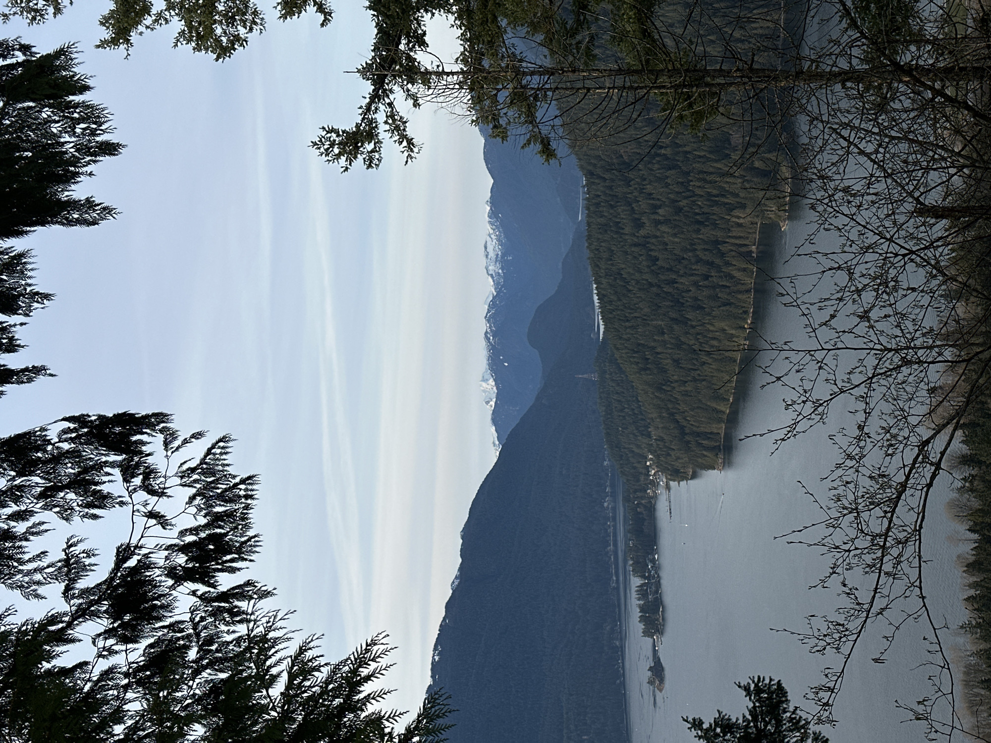 Morning scenic views captured across Burnaby parkland and lakeside