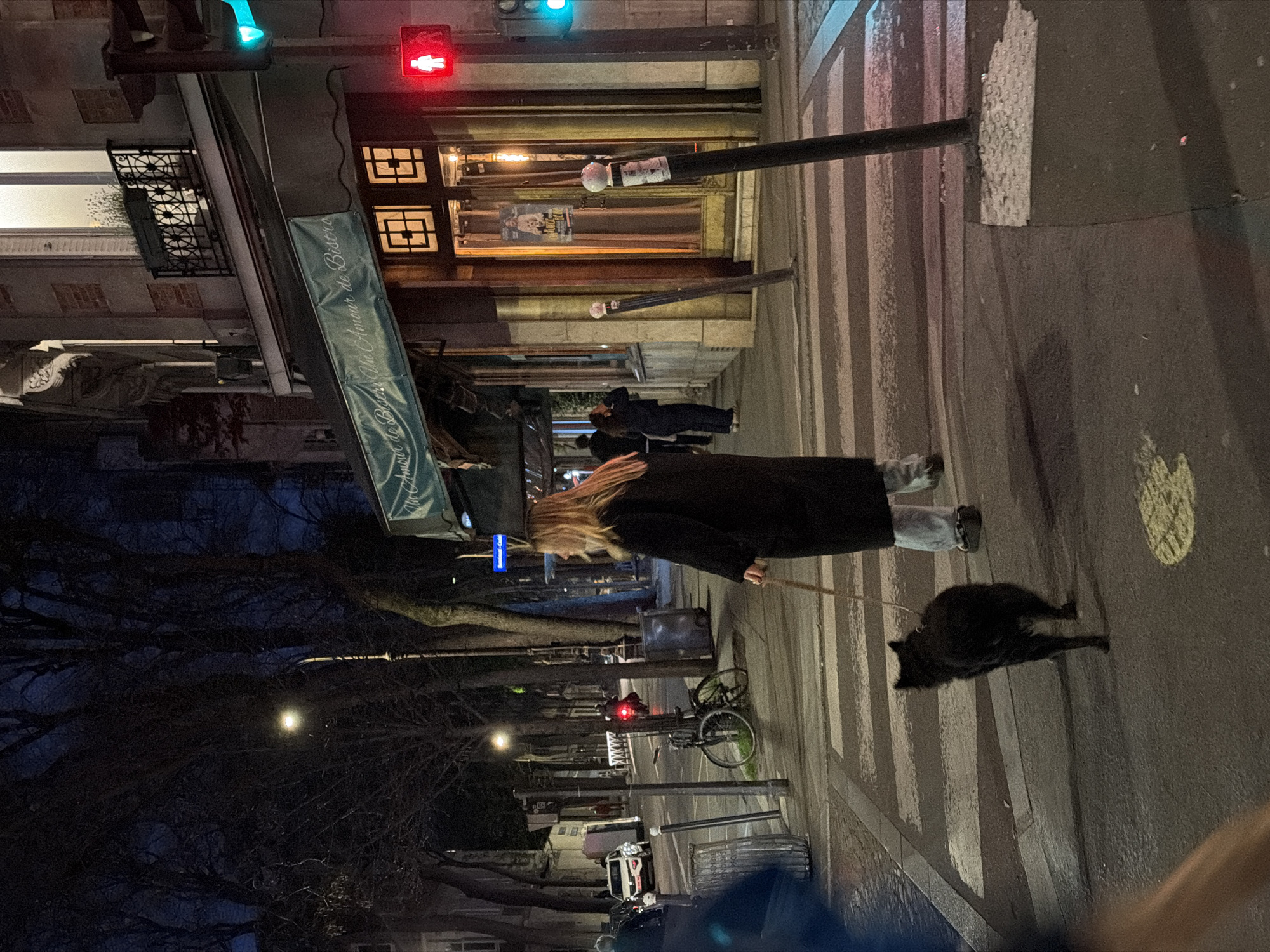 Evening street life and illuminated buildings documented across Paris