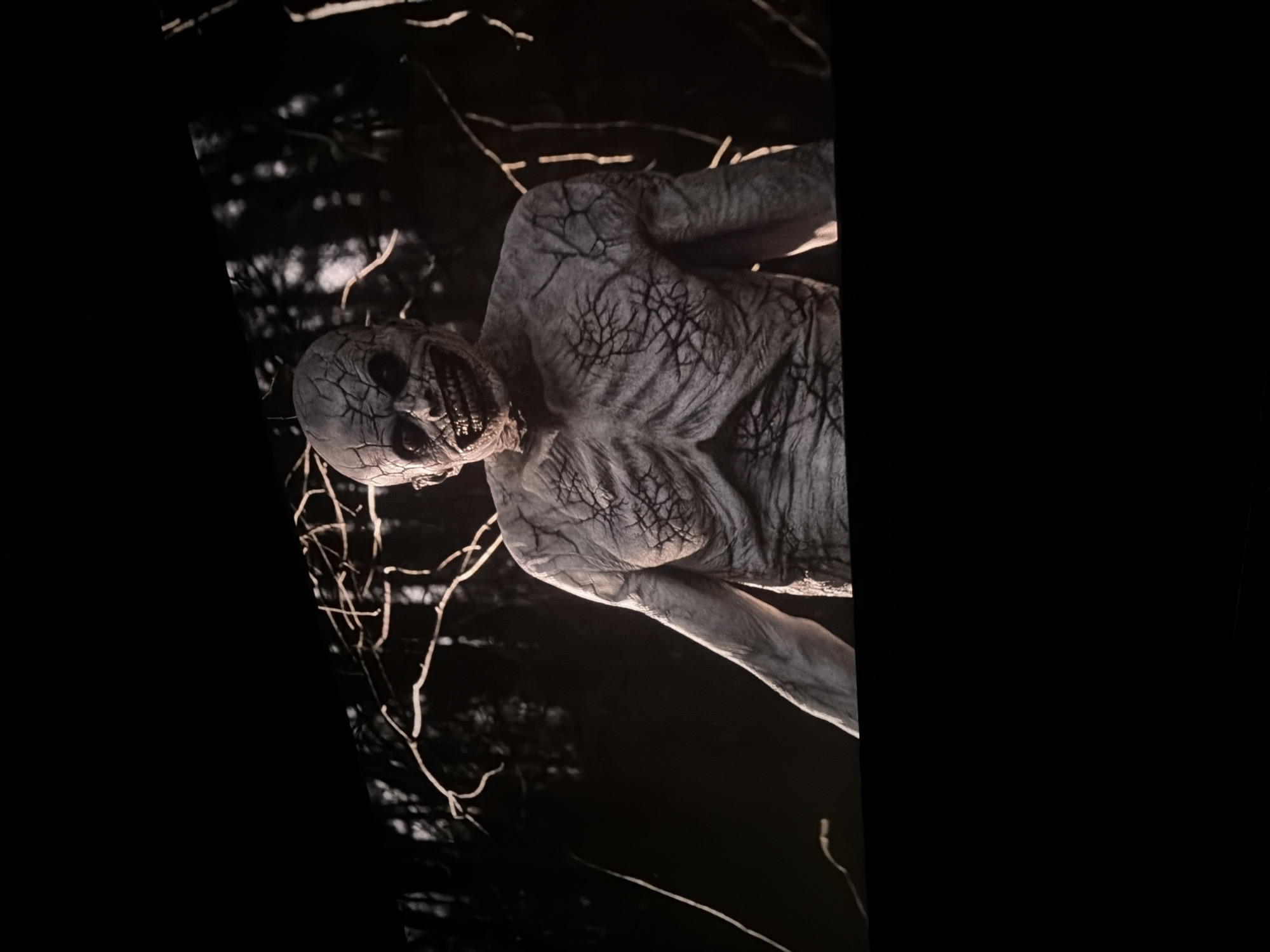 Skeletal mannequin spotted in Sofia woods