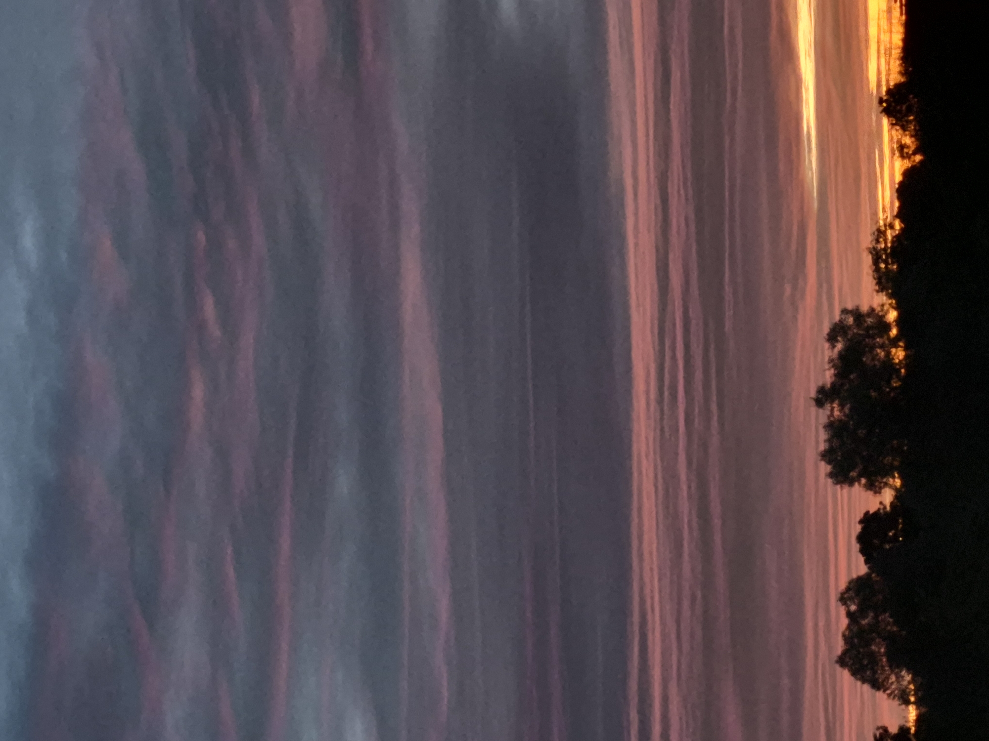 Layered sunset sky above a silhouetted treeline in Sooblase, Estonia