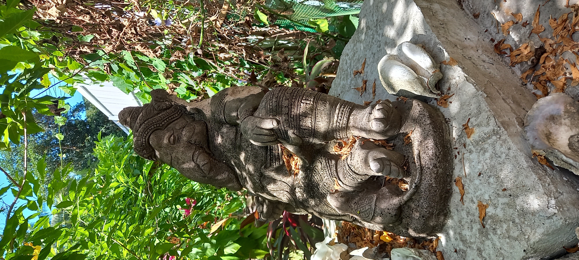 Morning garden documentation captures diverse flora and Hindu statue