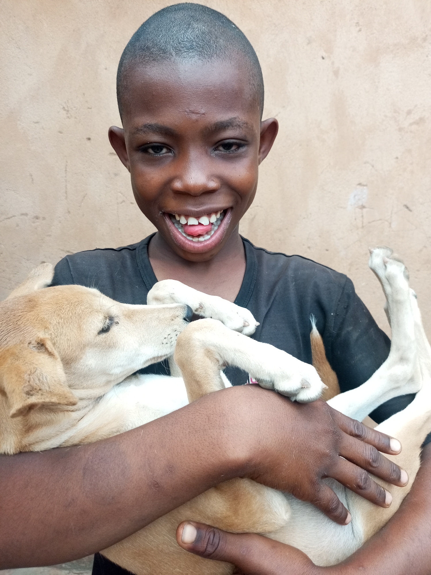 Boy plays with puppy in Timia, Niger