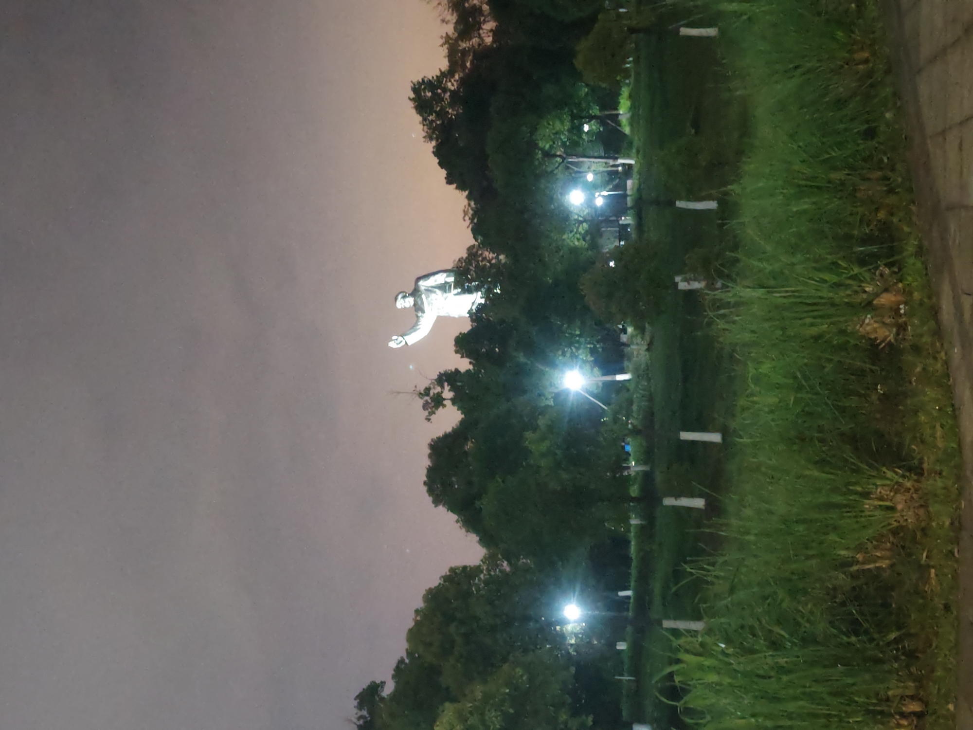 Cats spotted roaming nighttime park in Chongqing High-tech Zone
