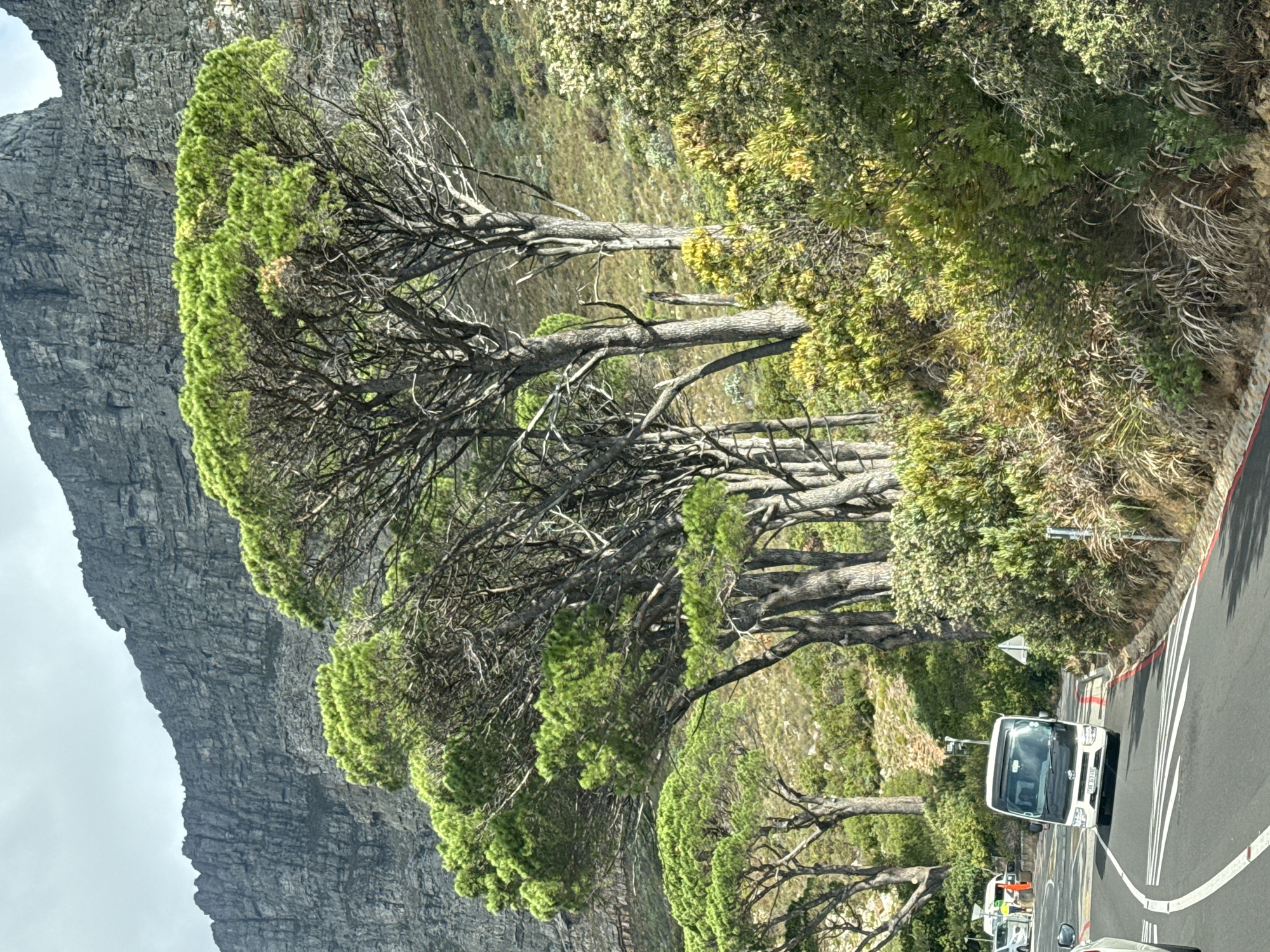 Traffic jam observed along Table Mountain road in Cape Town