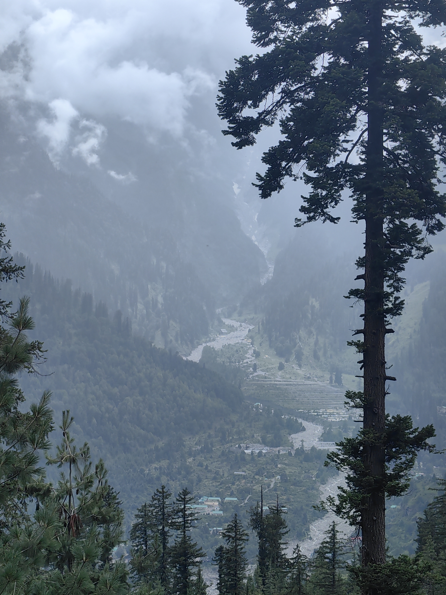 Misty forests and mountain trails around Palchan, with a litter find