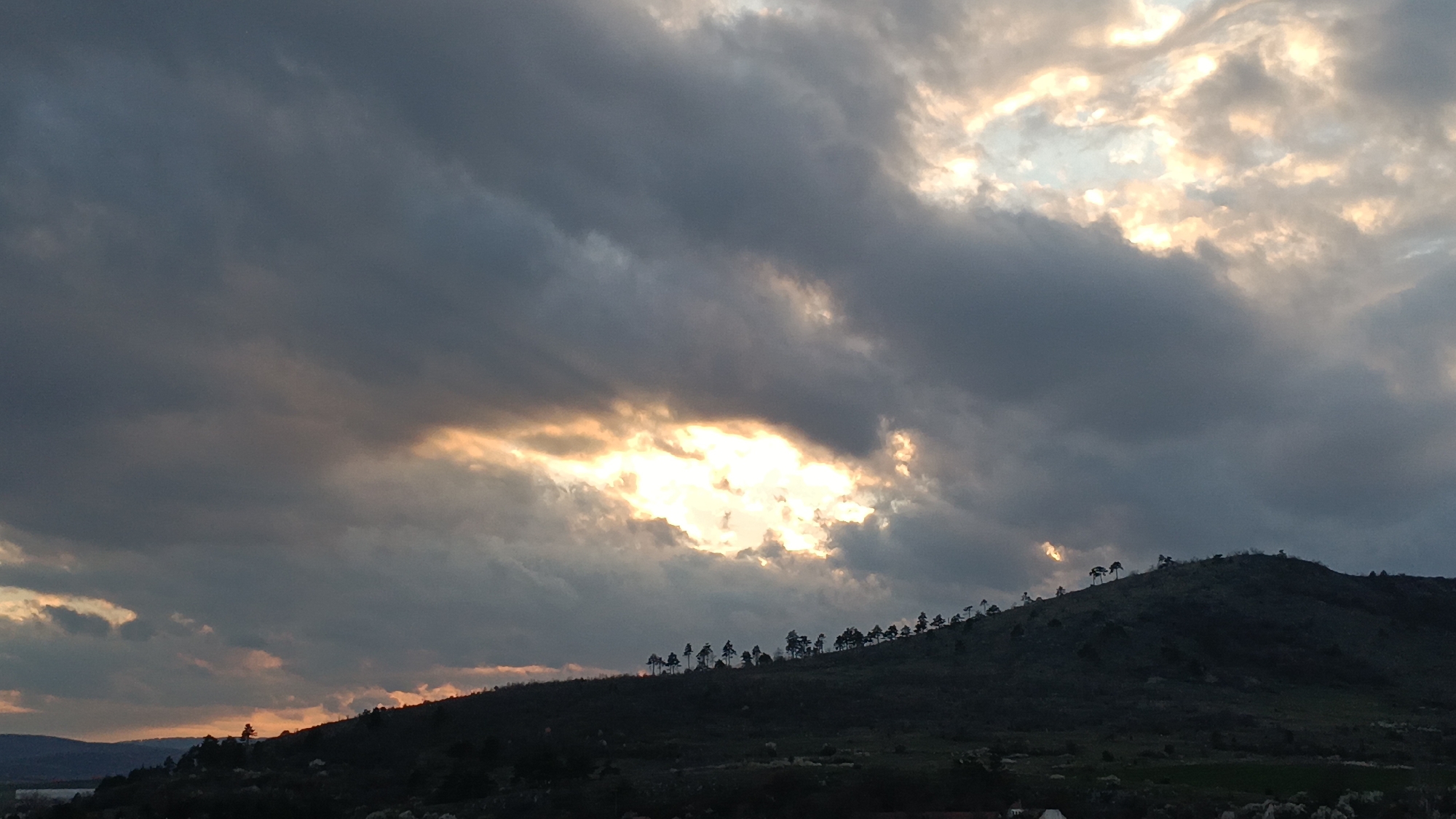 Spring photography session captures Bulgarian landscape and flowers
