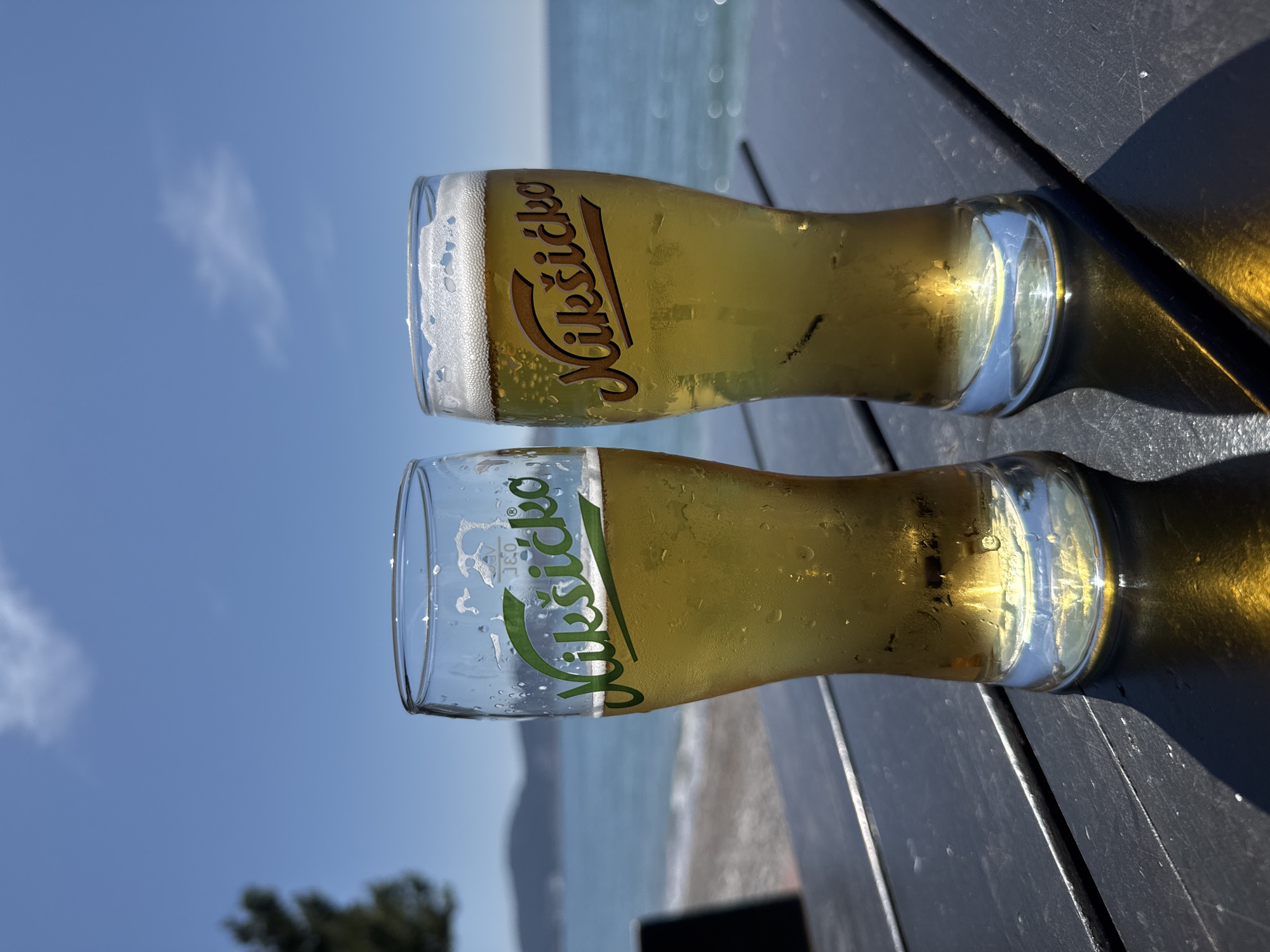 Cat, beer, coastal views documented in Montenegro morning
