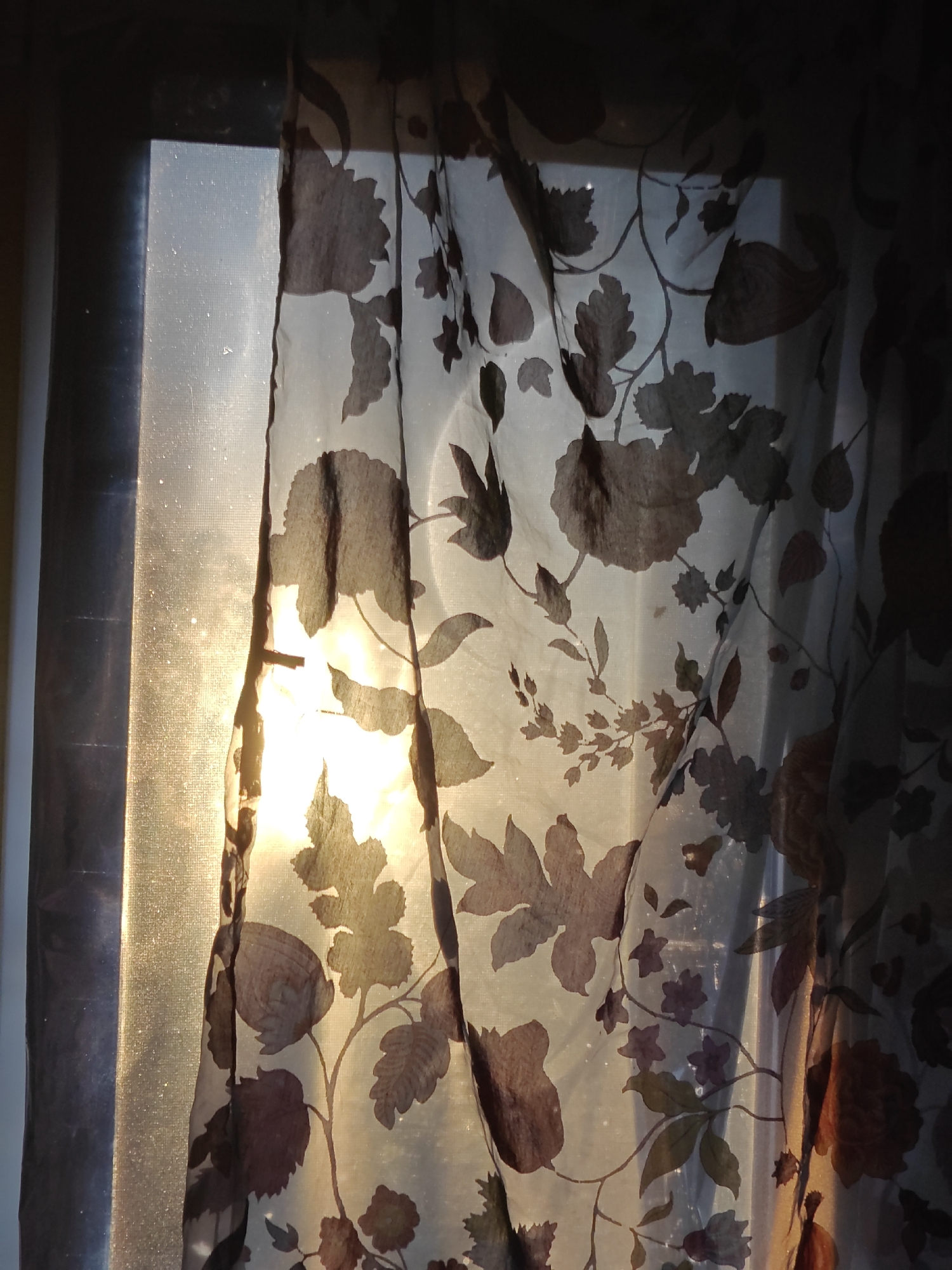 Evening at home: Hadiach resident documents sunset, pet chinchilla