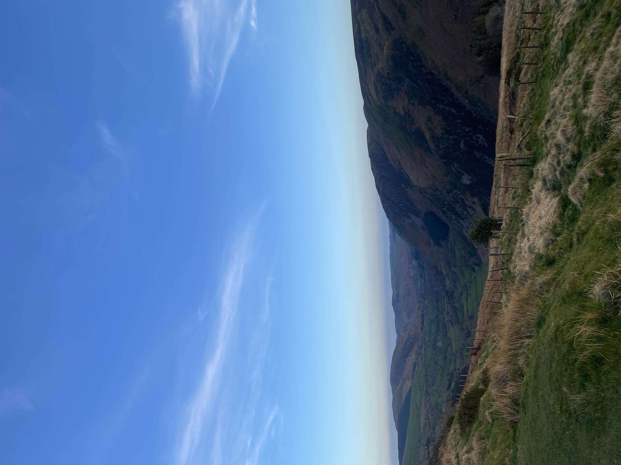 Spring landscape documented in Welsh countryside near Llangynog