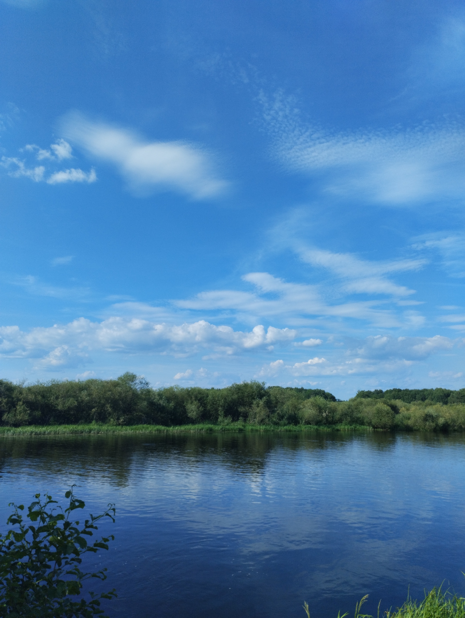 Clear skies over a calm Belarusian river, midsummer