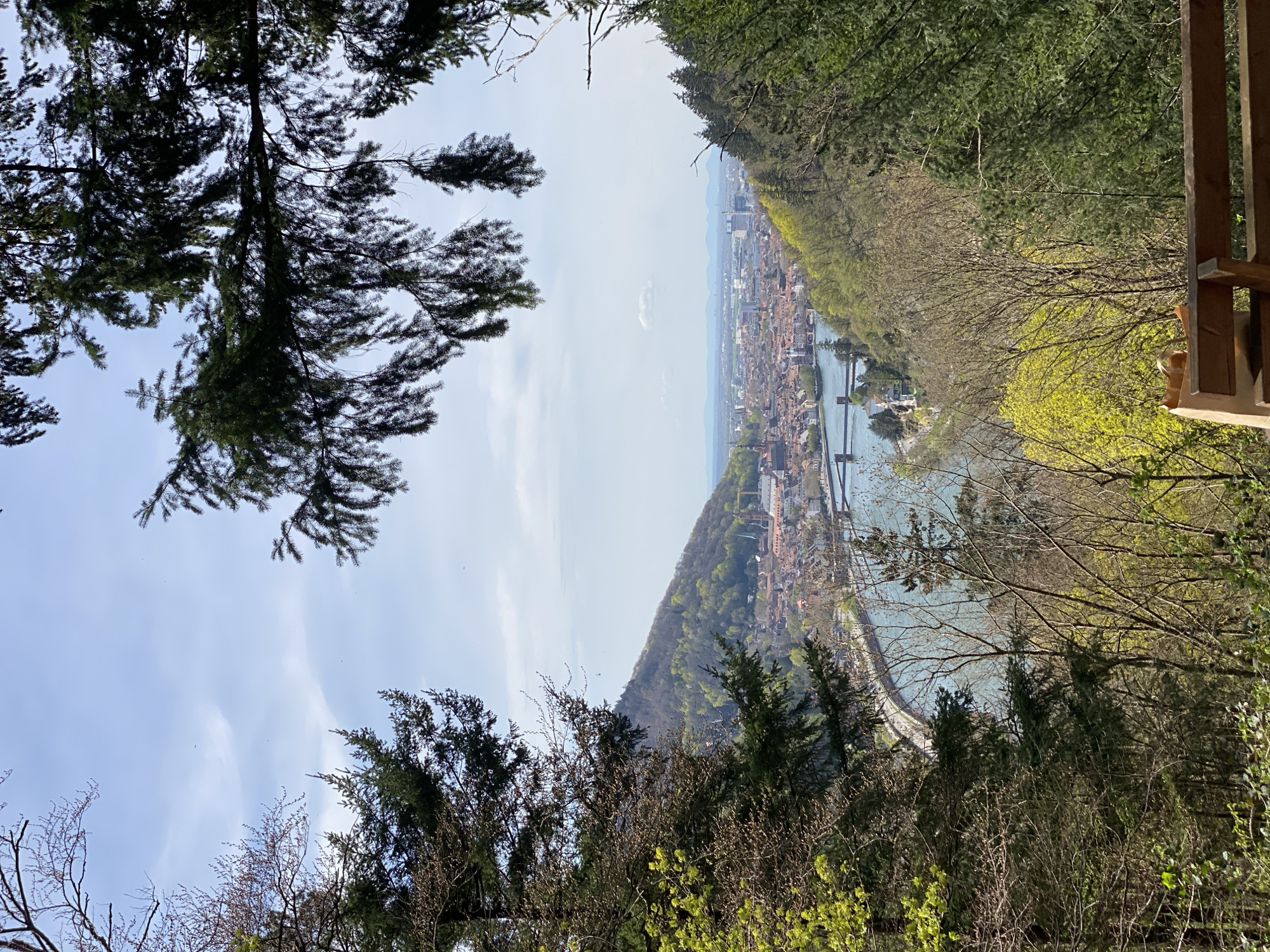 Scenic Heidelberg overlook captured from elevated riverside trail