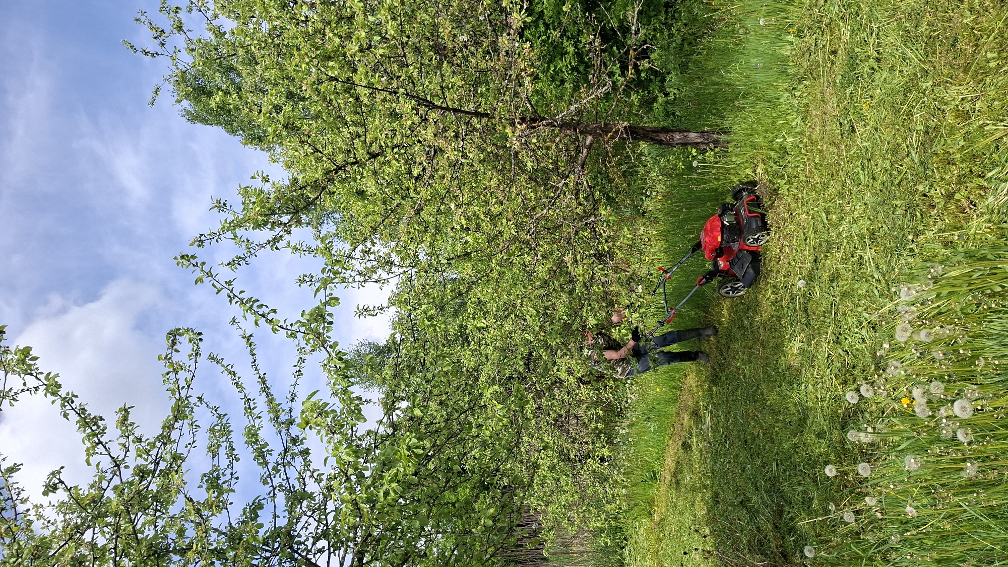 Spring yard work day in rural Belarus village
