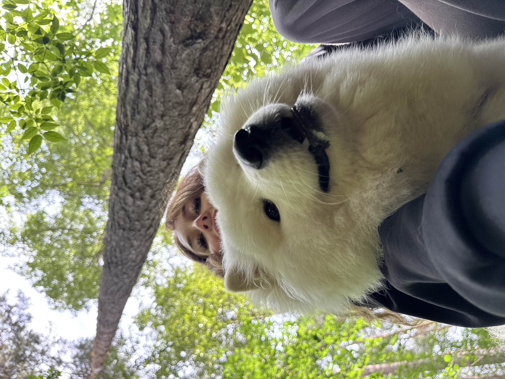 Casual afternoon hangout with a dog in Chaikovsky, Russia