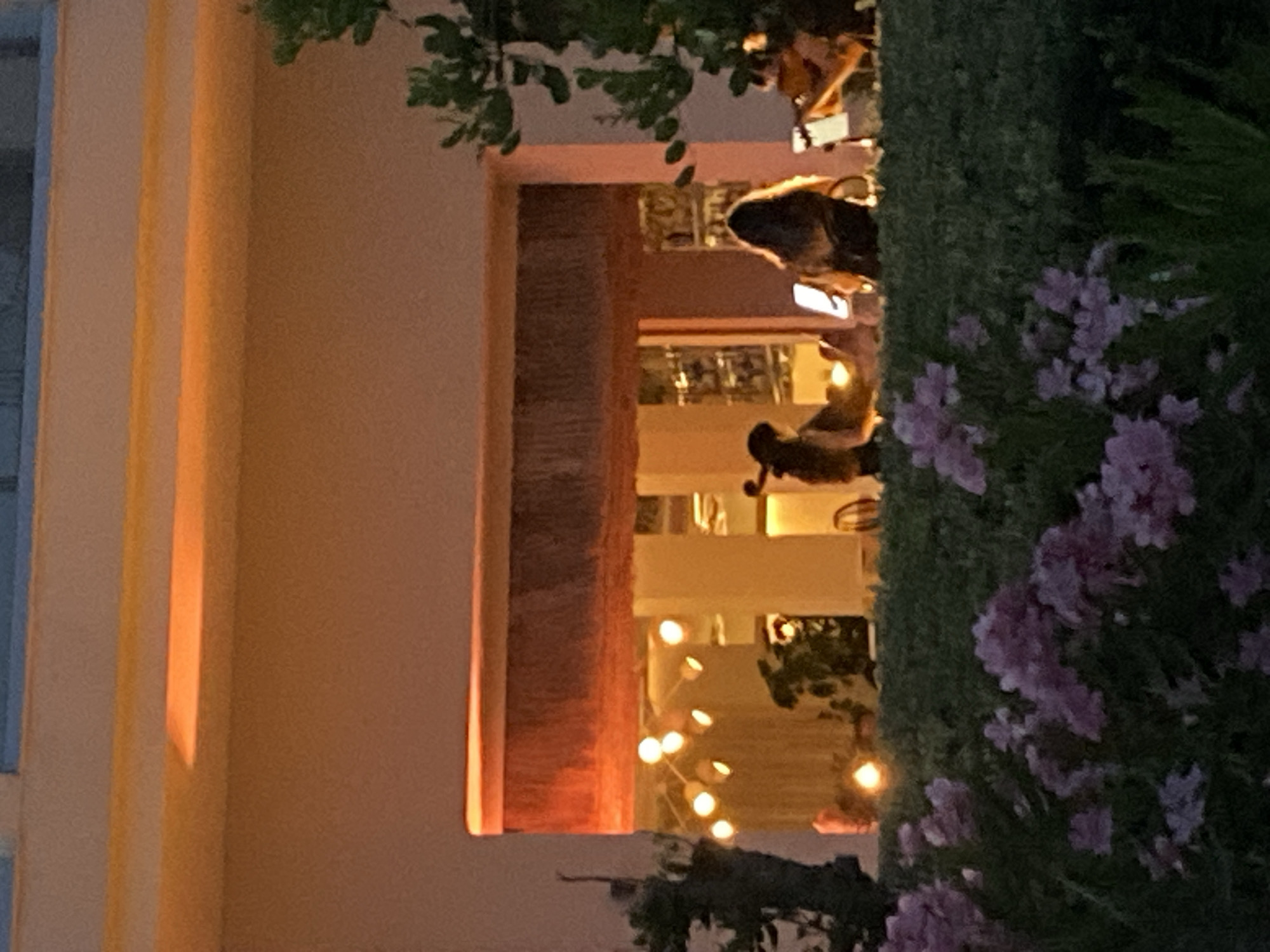 Estepona beachfront bars and boardwalk at dusk