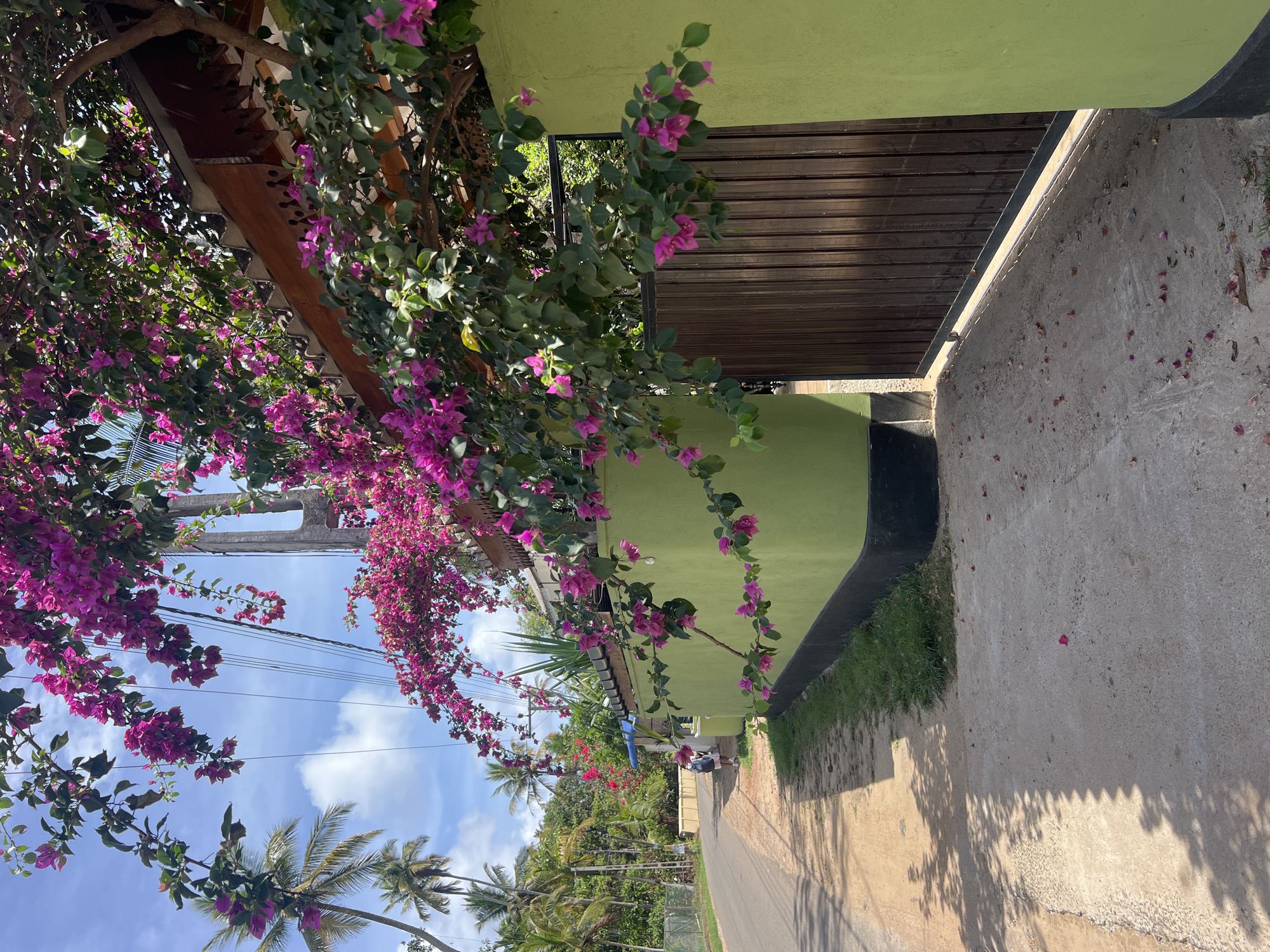 Morning poolside scenes documented at Kabalana resort property