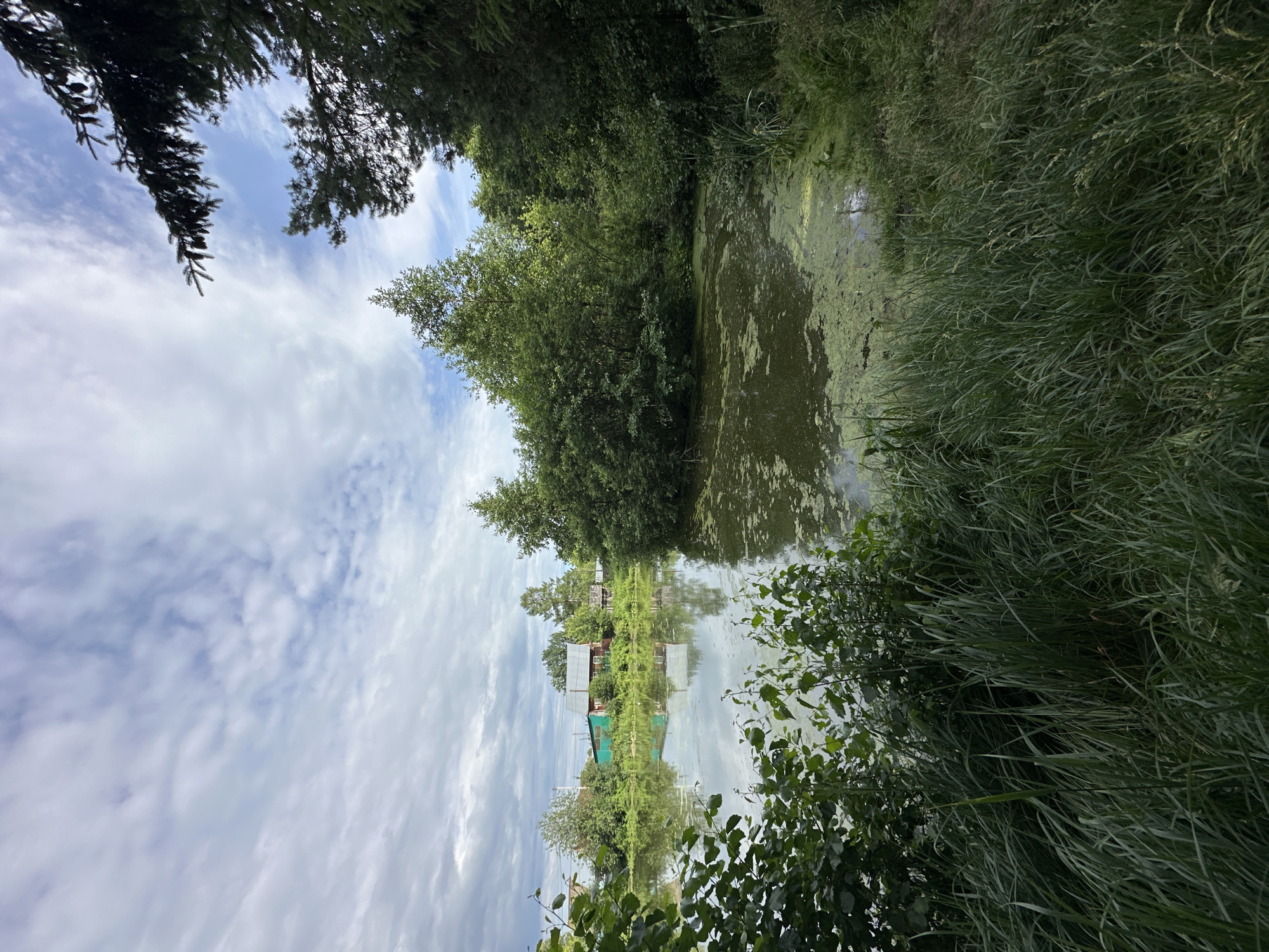 Lazy summer afternoon at the Chaikovsky waterfront