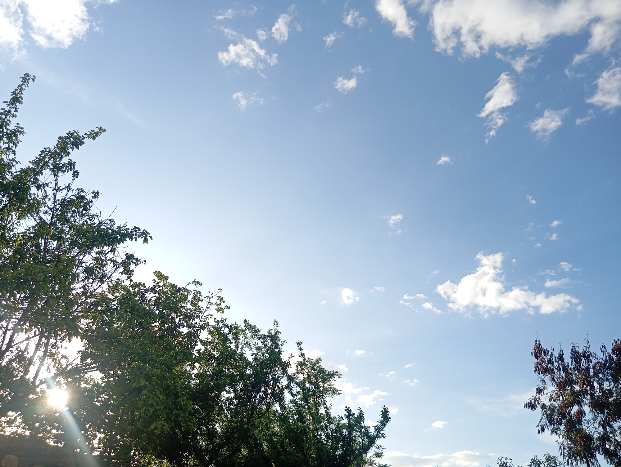 Clear blue skies observed over Lassan, Pakistan