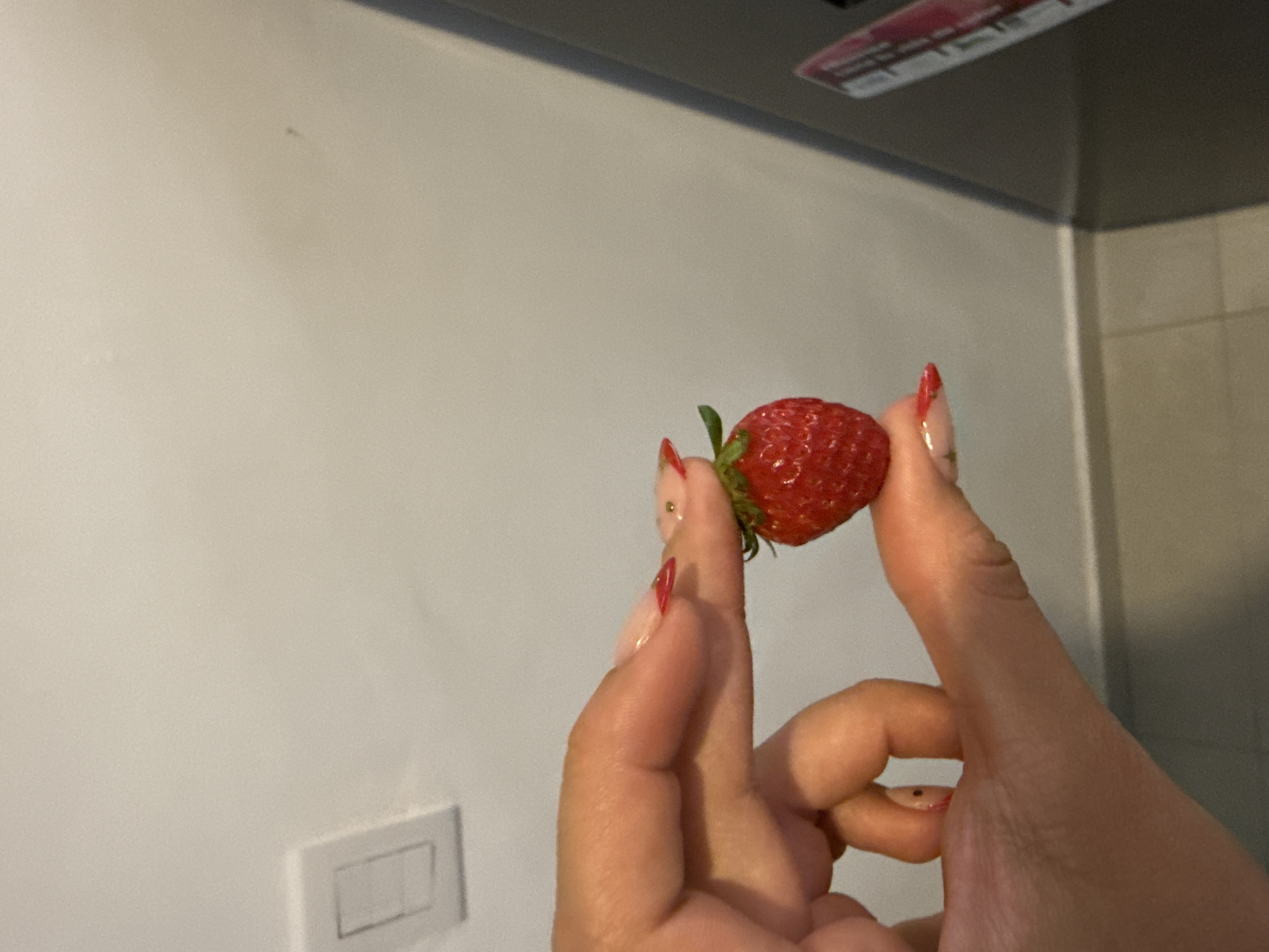 Person holds fresh strawberry in Puebla, Mexico