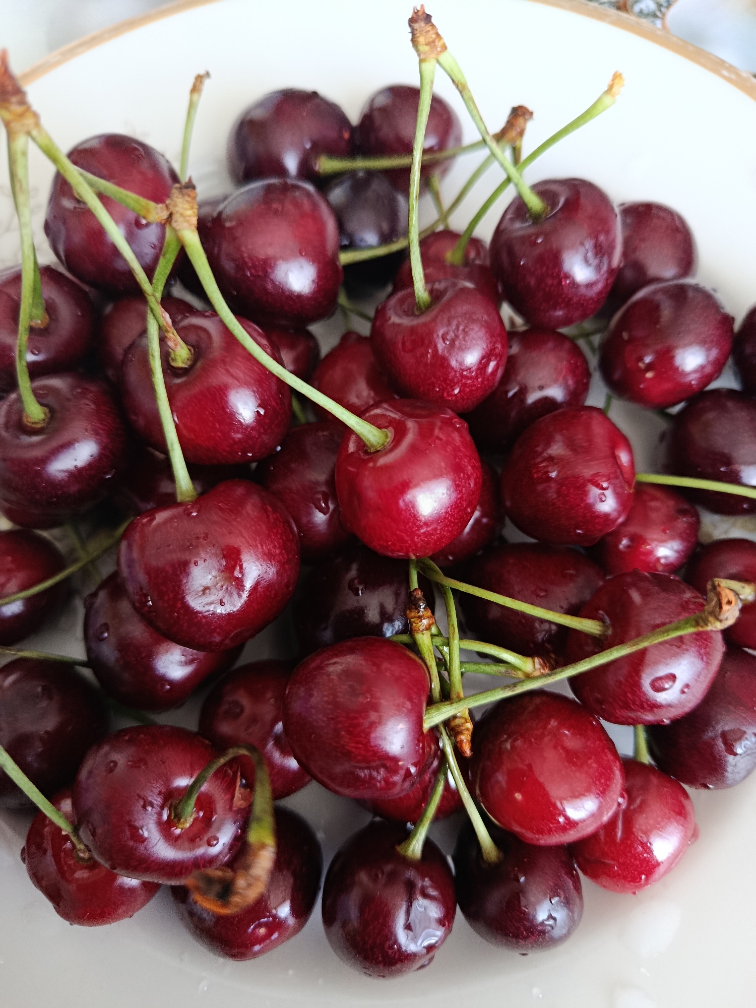 Fresh summer harvest spread out in Svietlahorsk, Belarus