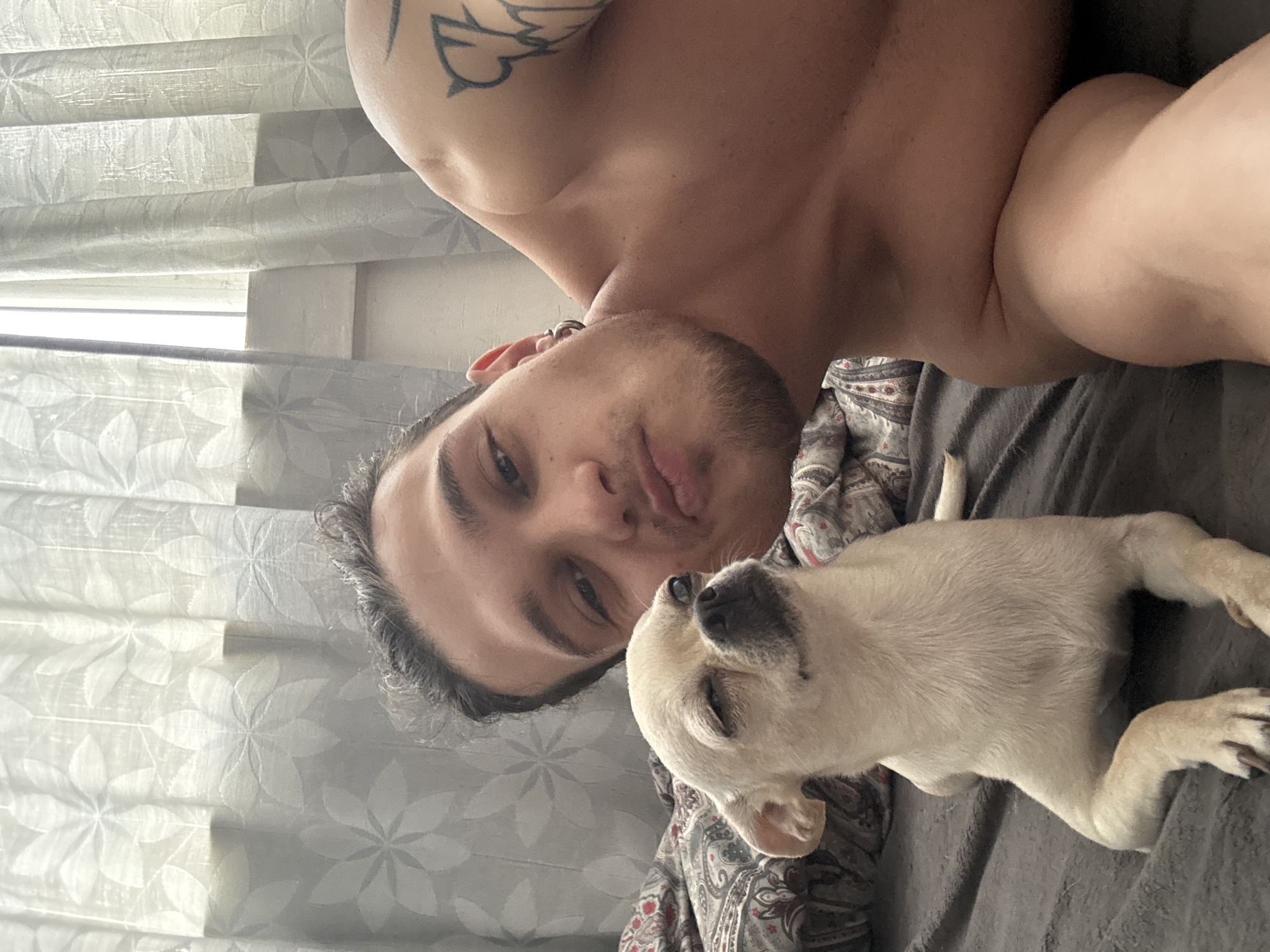 Man and Chihuahua share quiet morning moments in Sofia